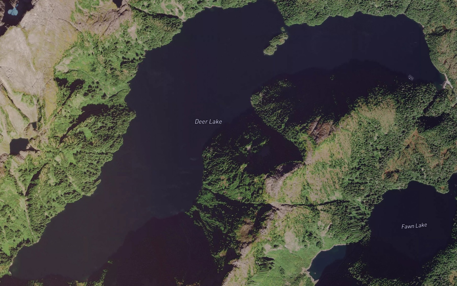 Satellite map of the Deer Lake