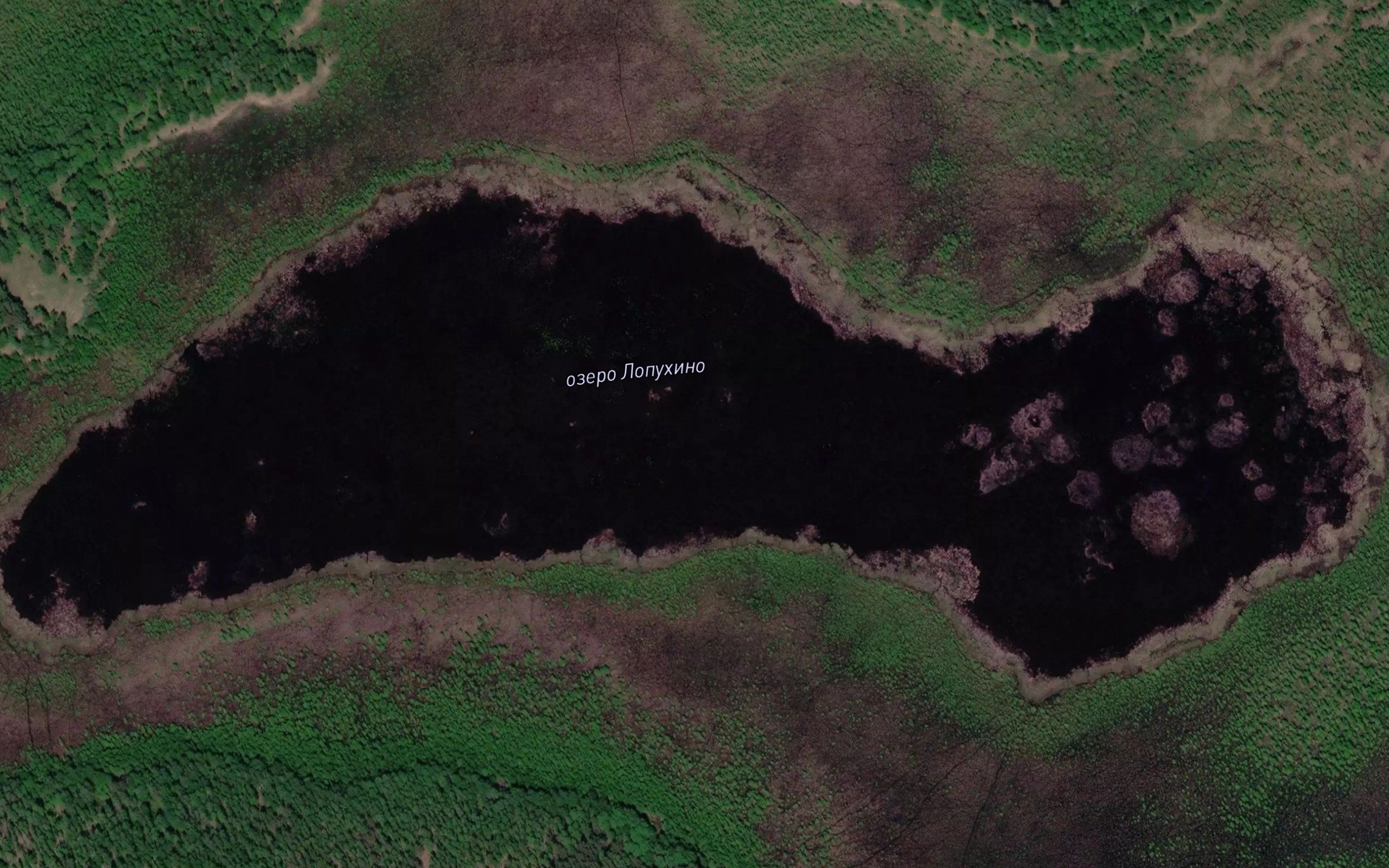 Ozero Lapukhino