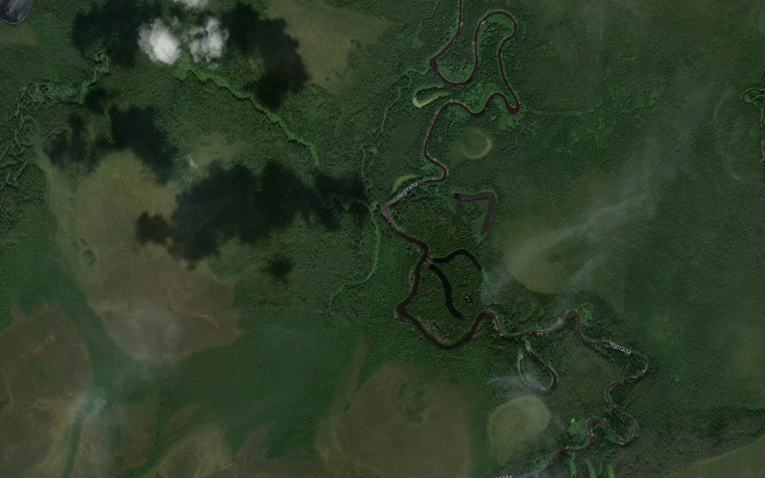 Polovinka