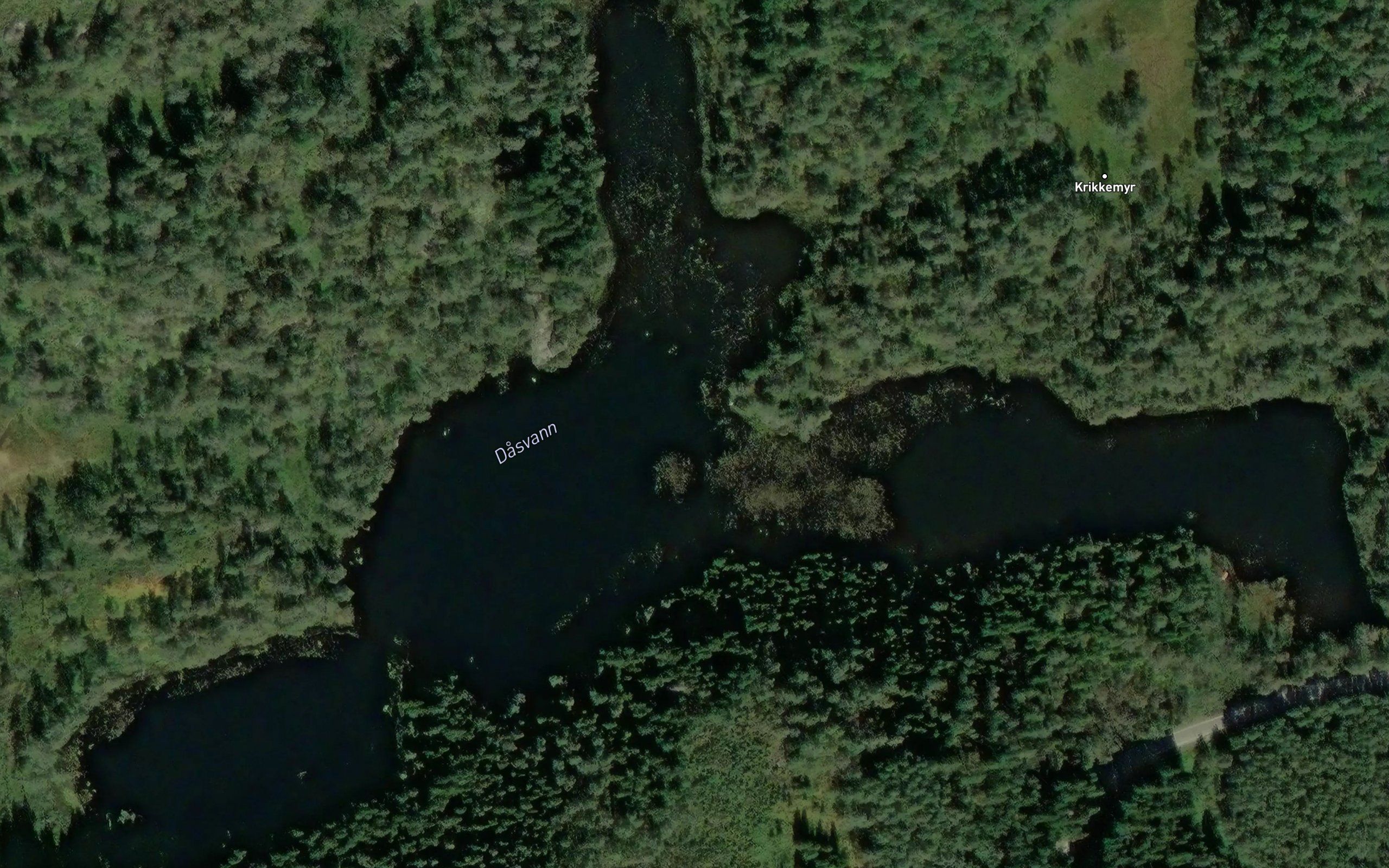 Dasvann