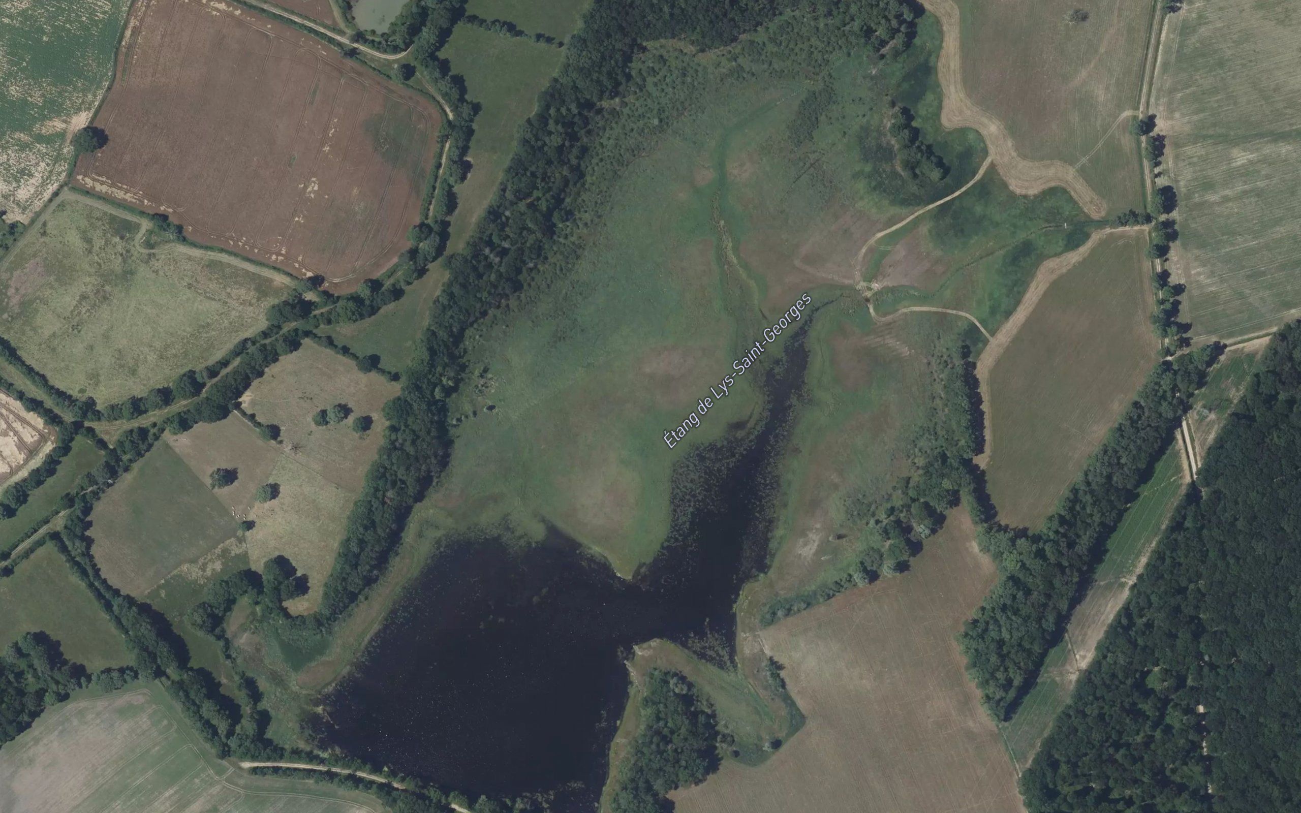Etang du Lys-Saint-Georges