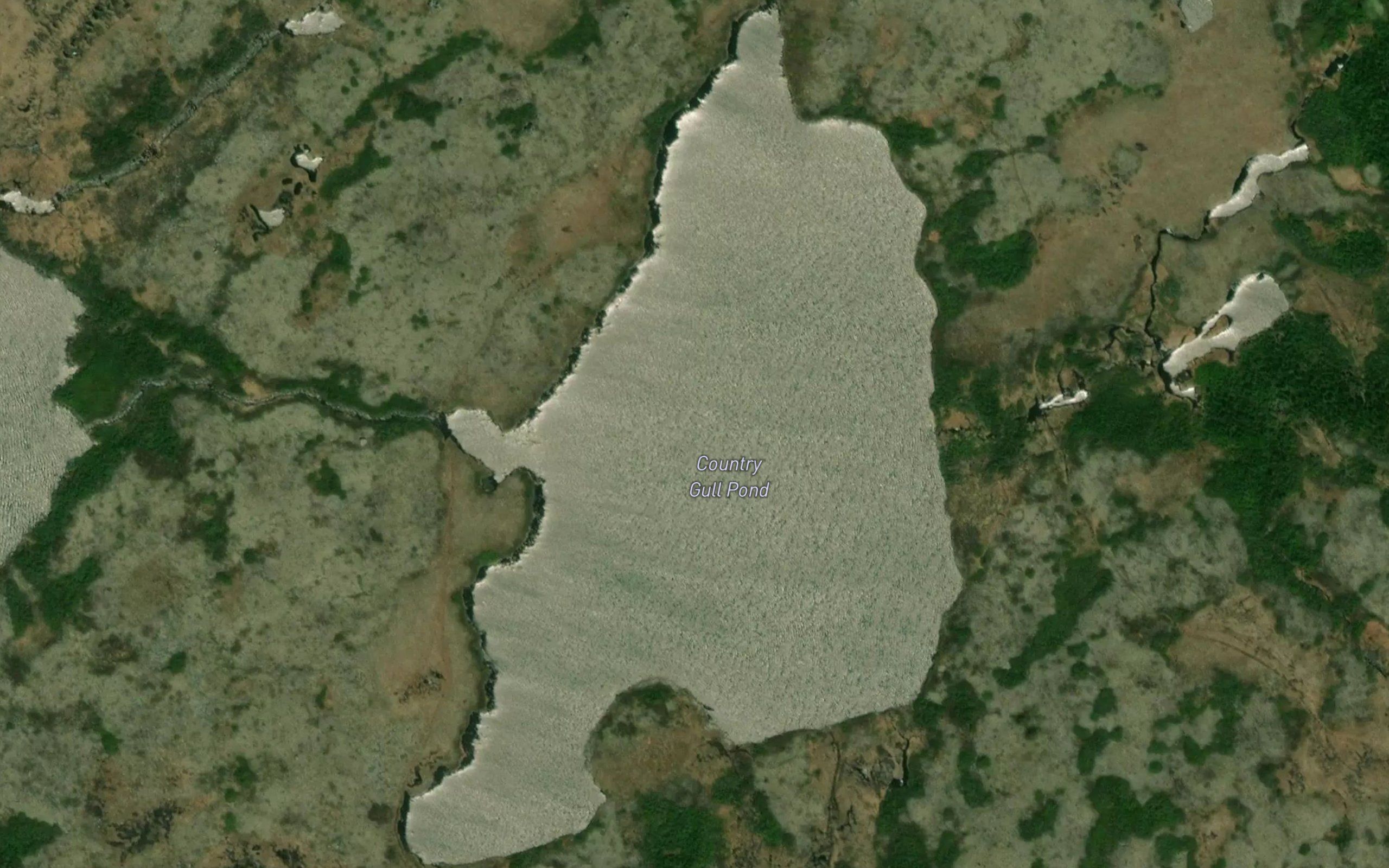 Country Gull Pond