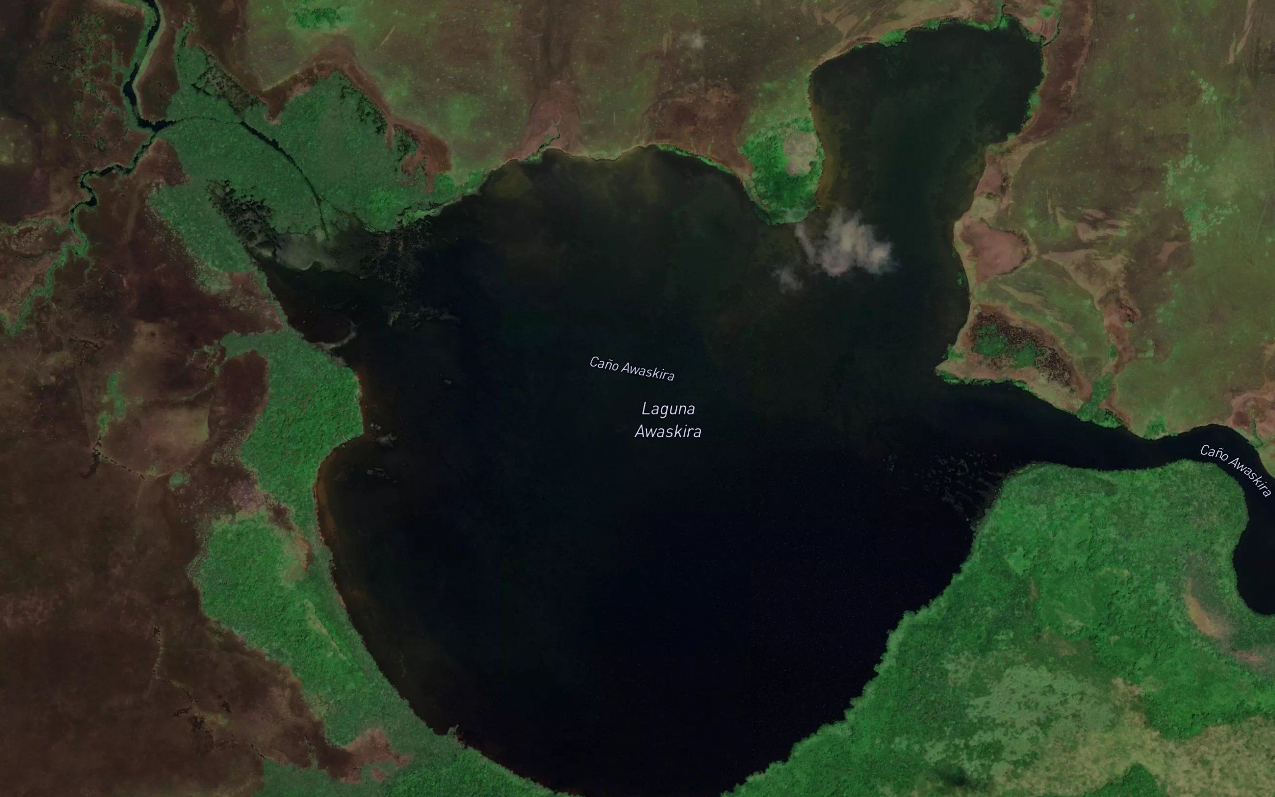Laguna Awaskira