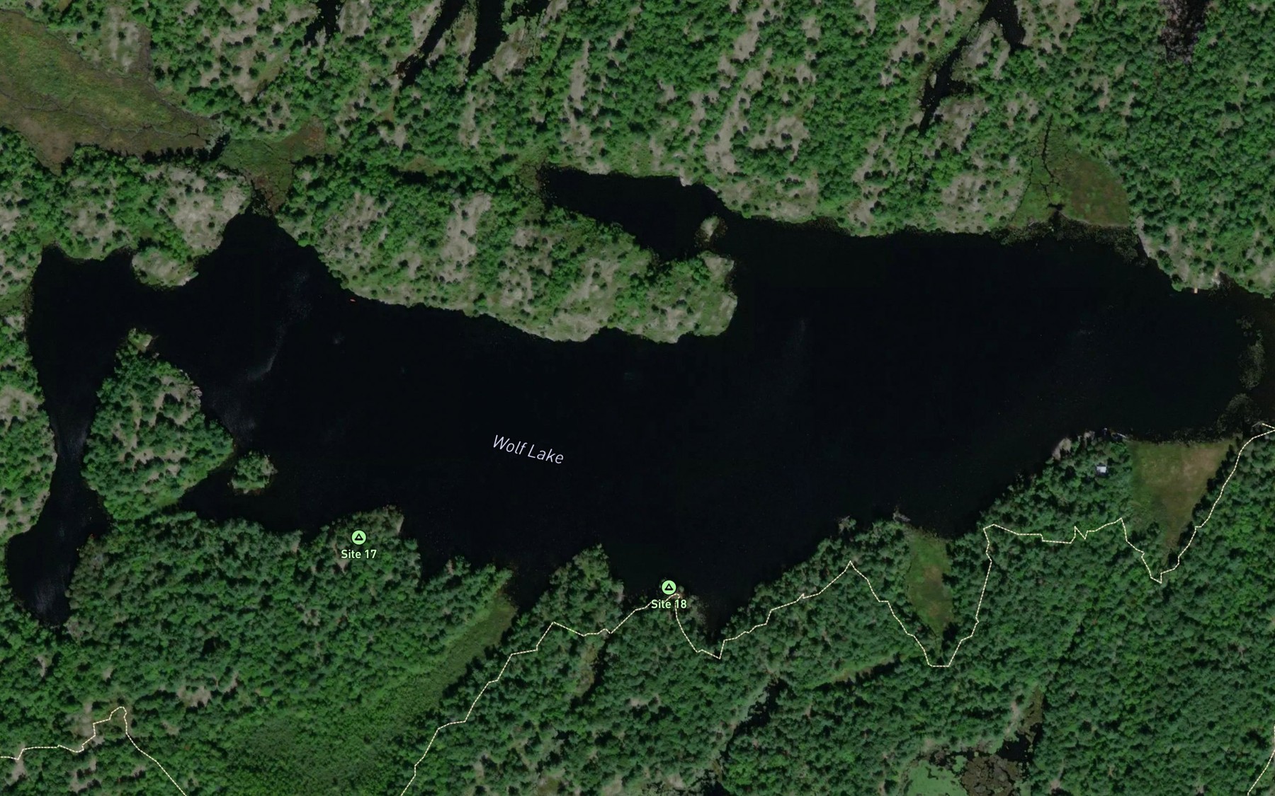 Satellite map of the Wolf Lake
