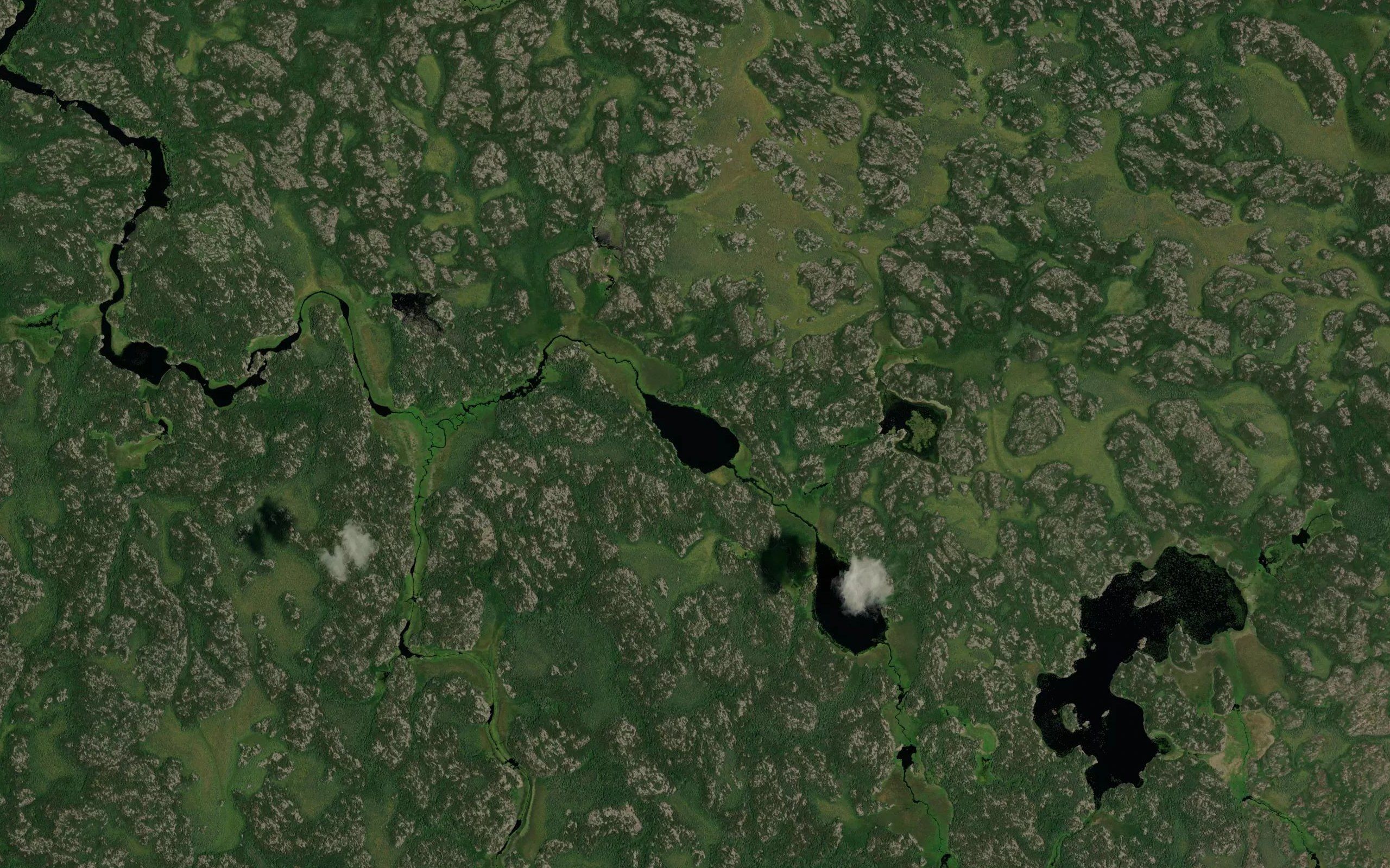 Frog Head Lake