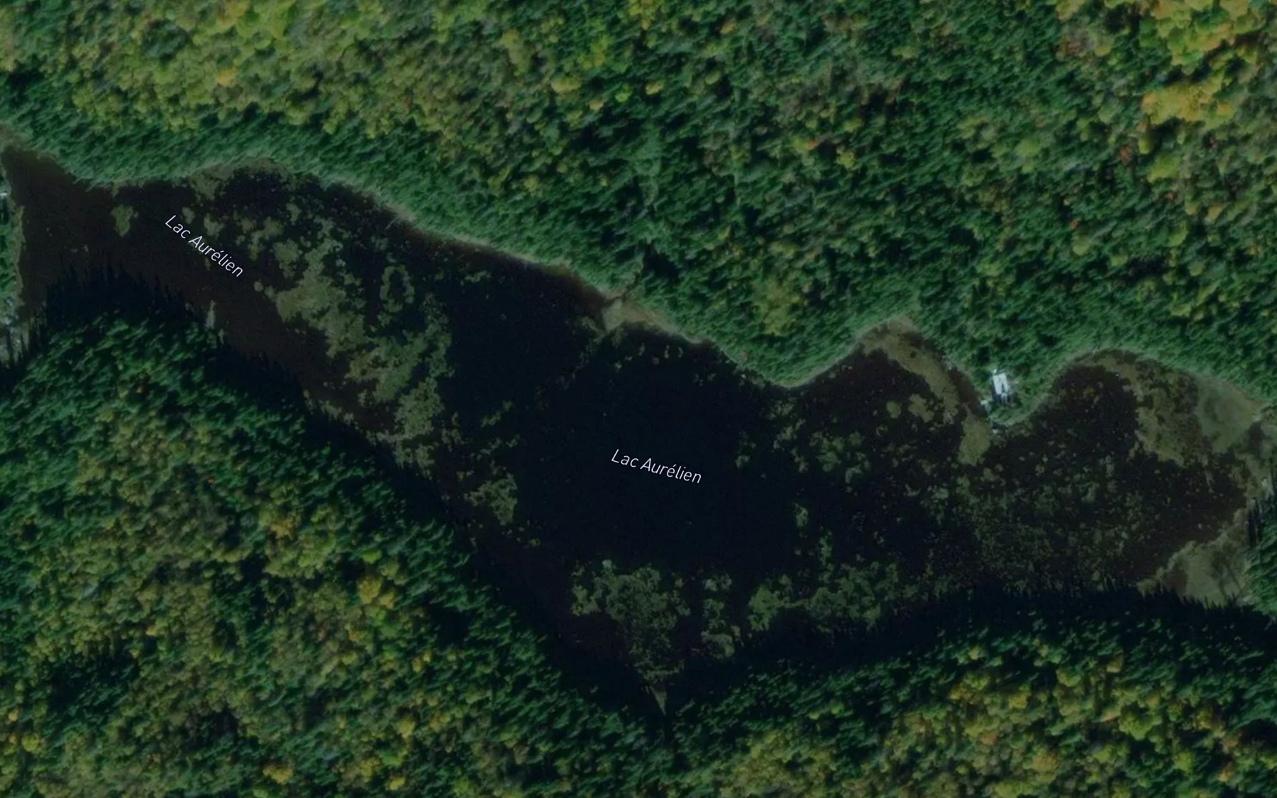Satellite map of the Lac Aurelien