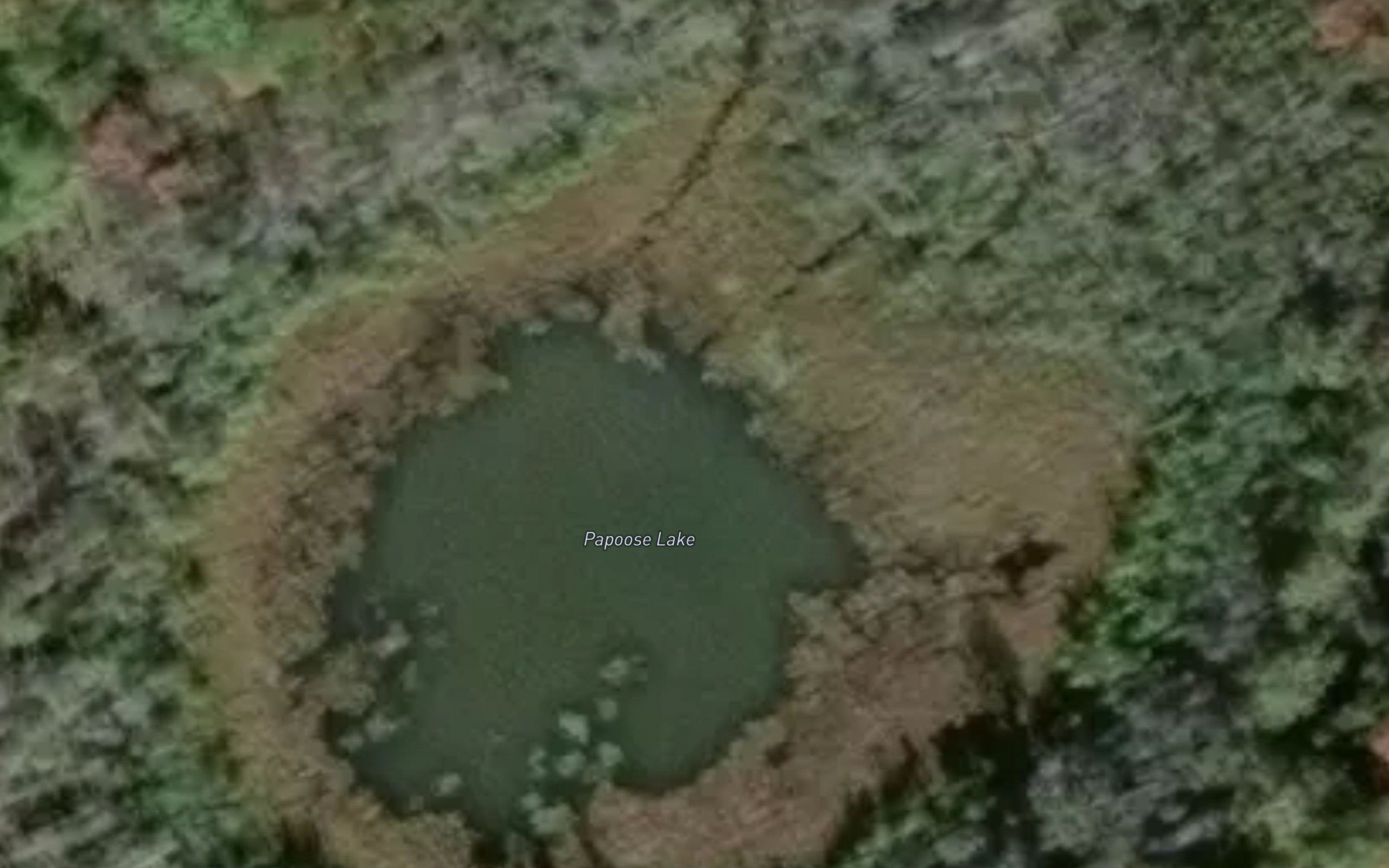 Papoose Lake