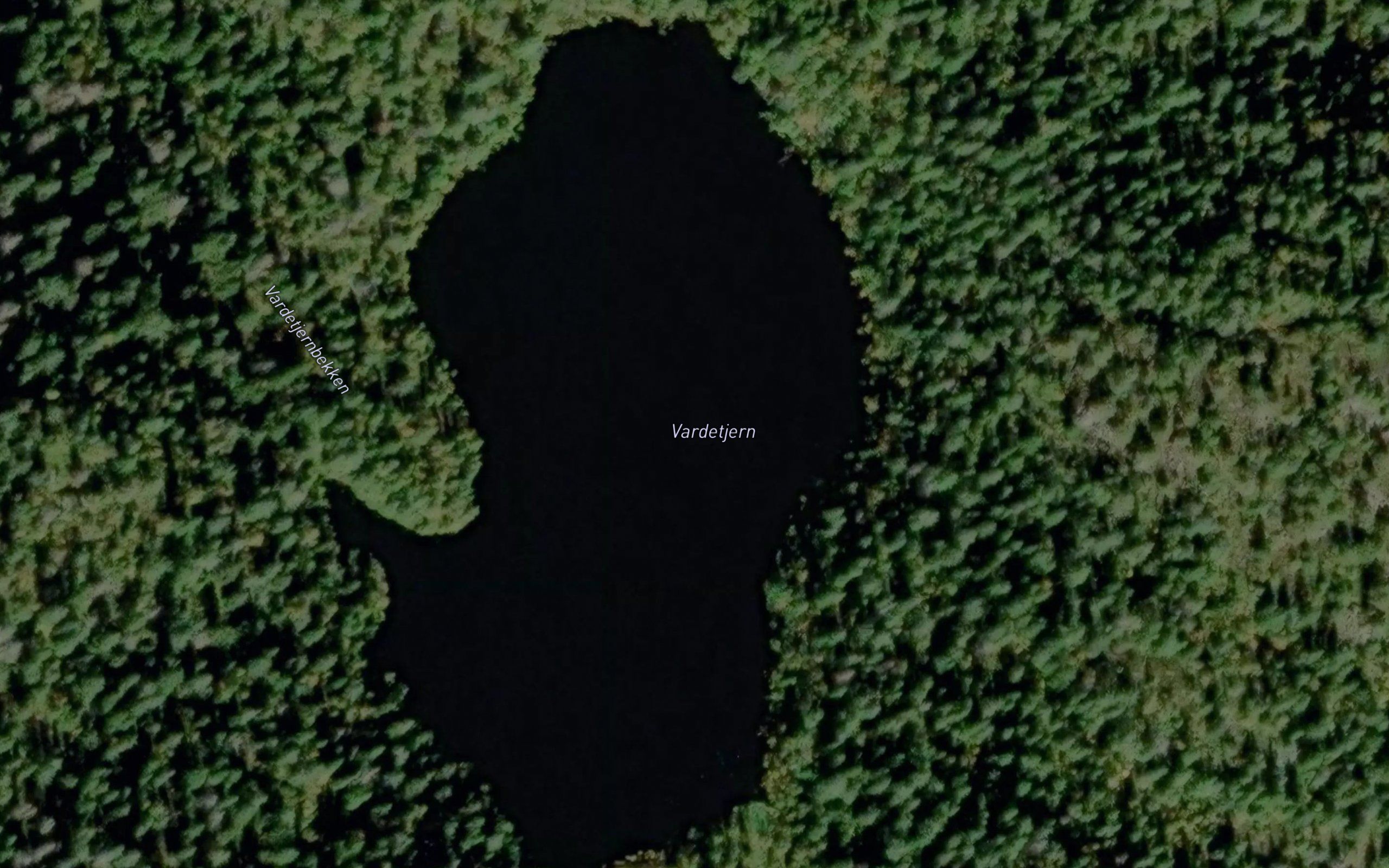 Vardetjern