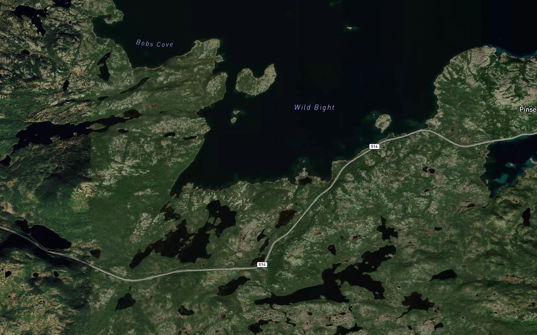 Satellite map of the Wild Bight