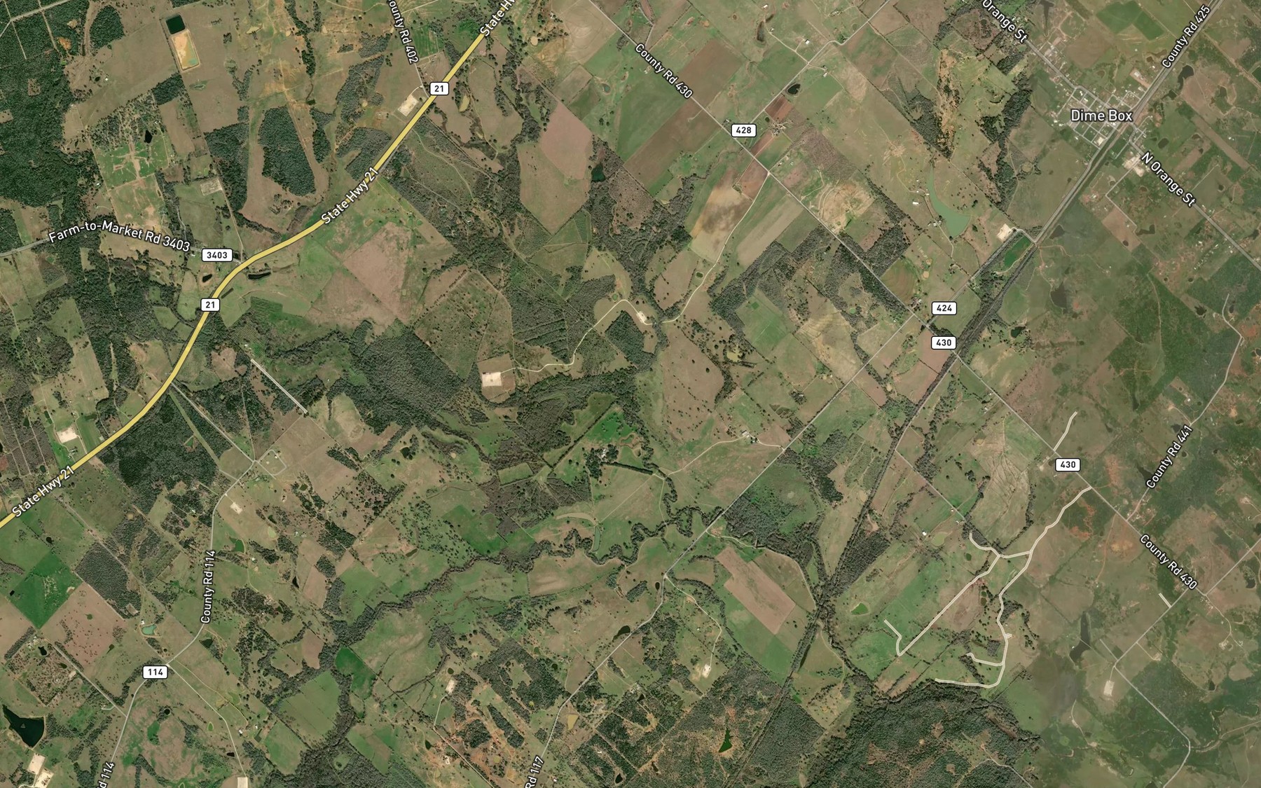 Satellite map of the Boggy Branch