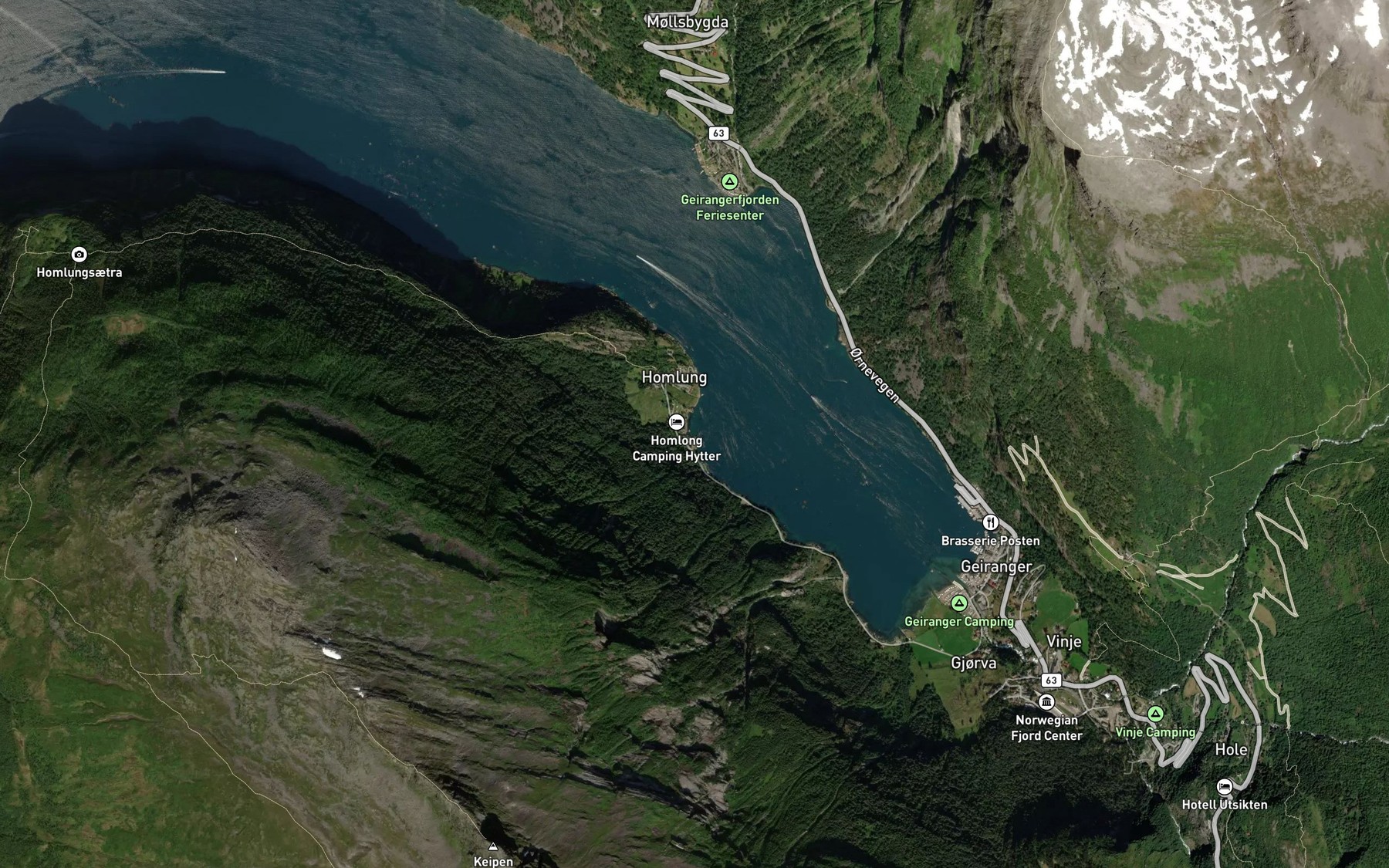 Satellite map of the Homlongsvika