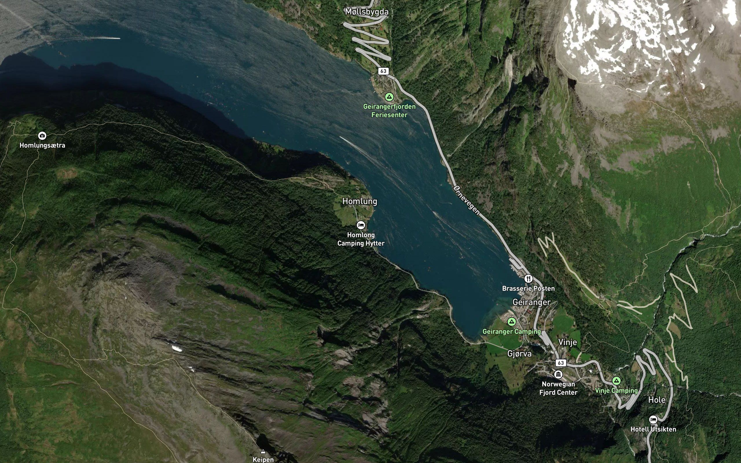 Homlongsvika
