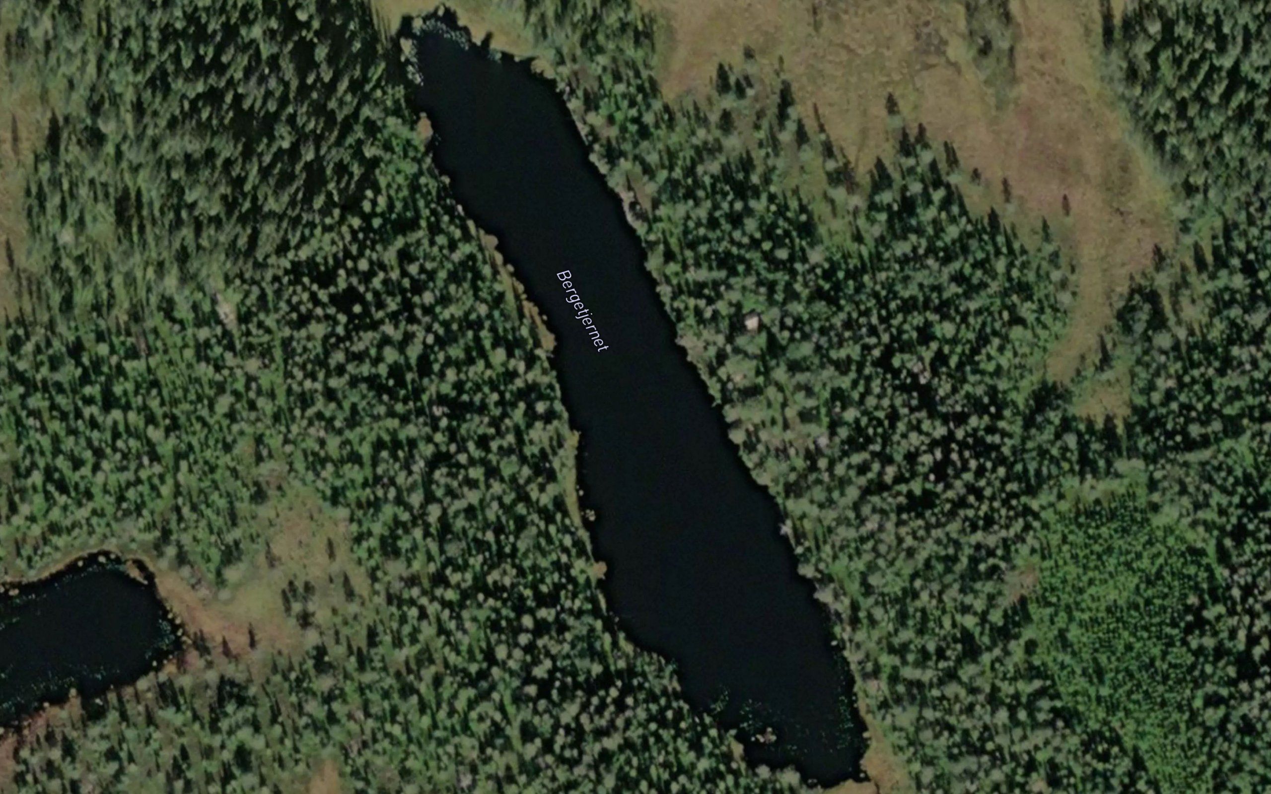 Bergetjernet