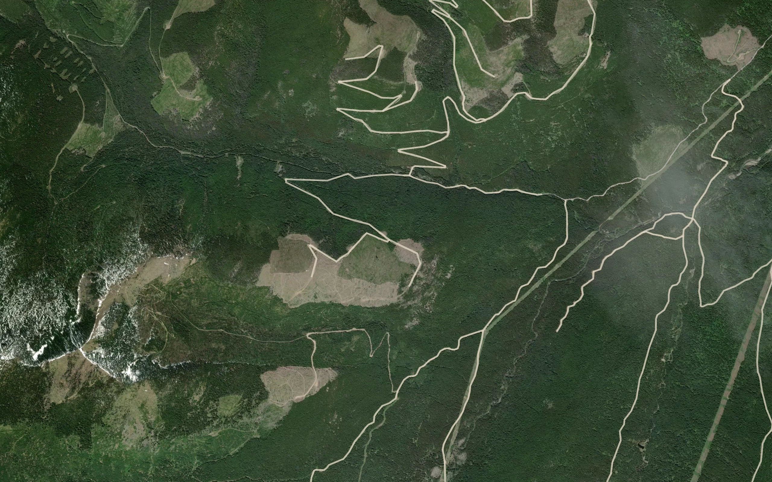 Ryder Creek