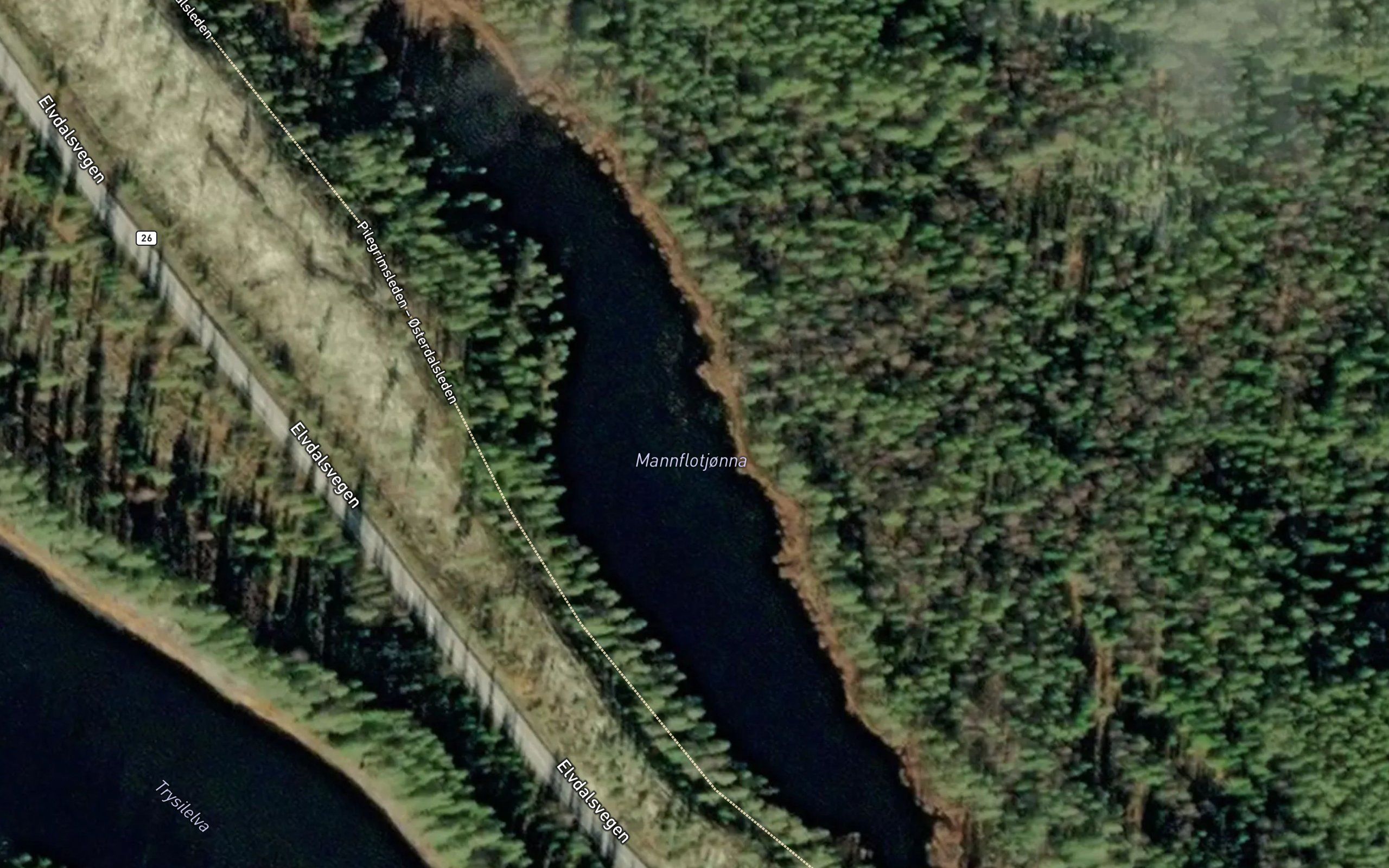 Mannflotjorn