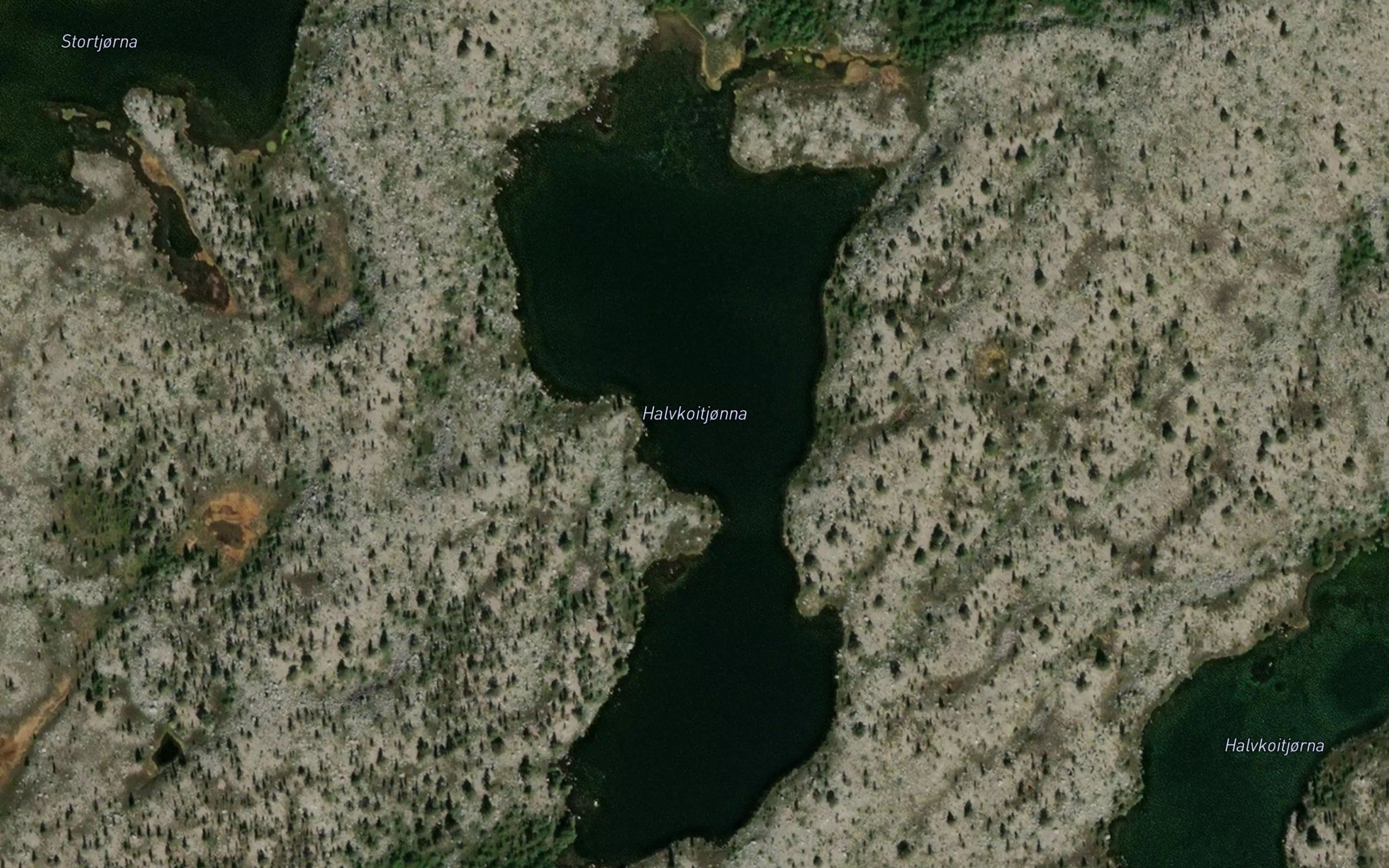 Halvkoitjonna