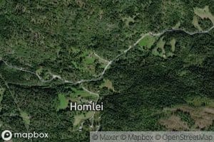 Homleidelva