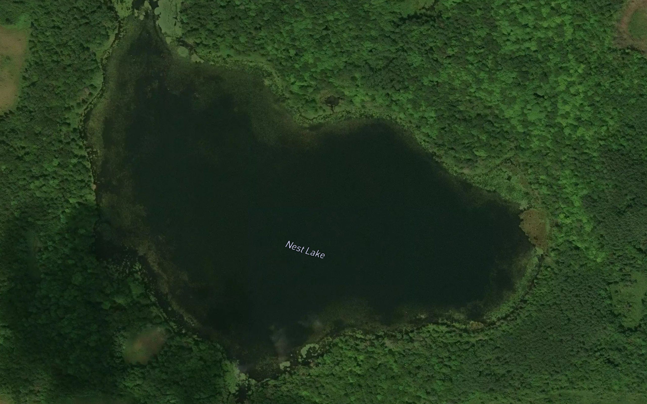 Nest Lake