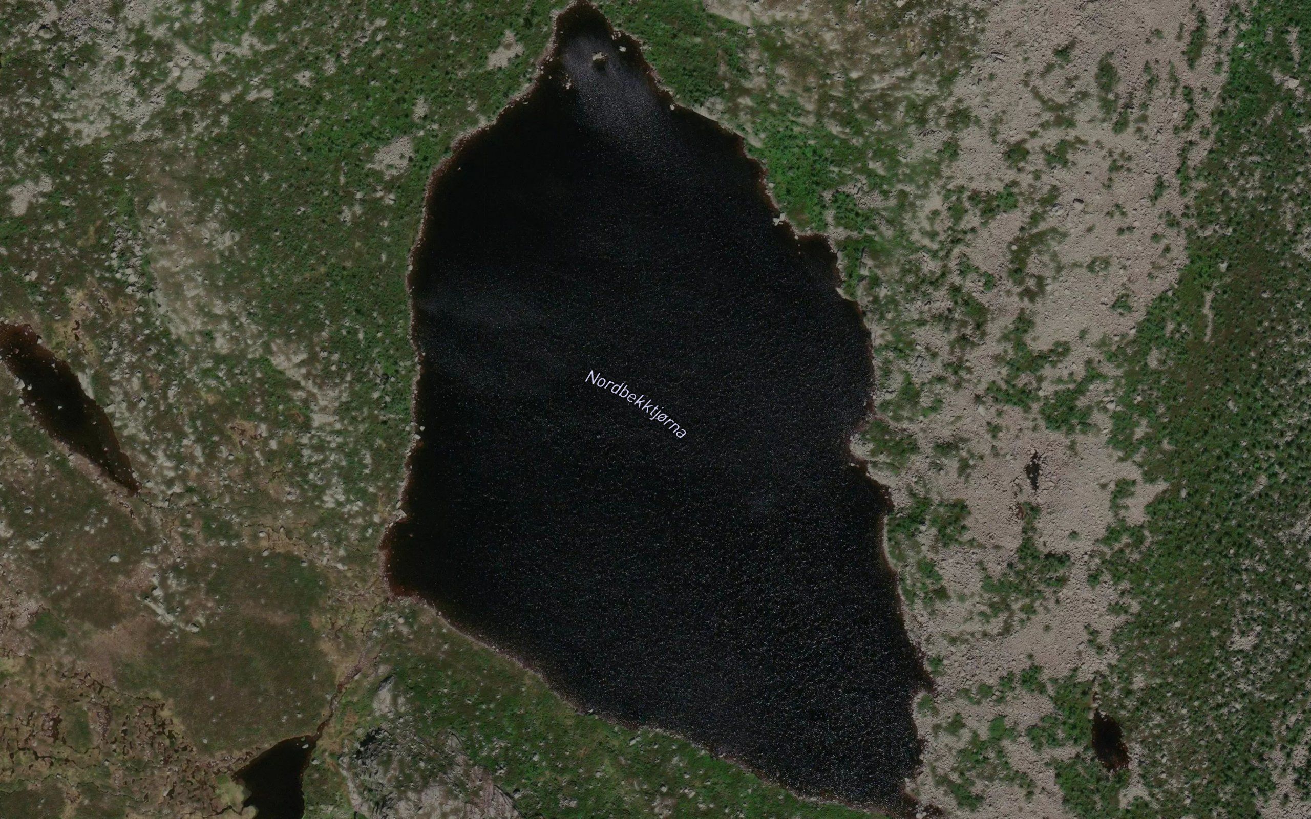 Nordbekktjorna