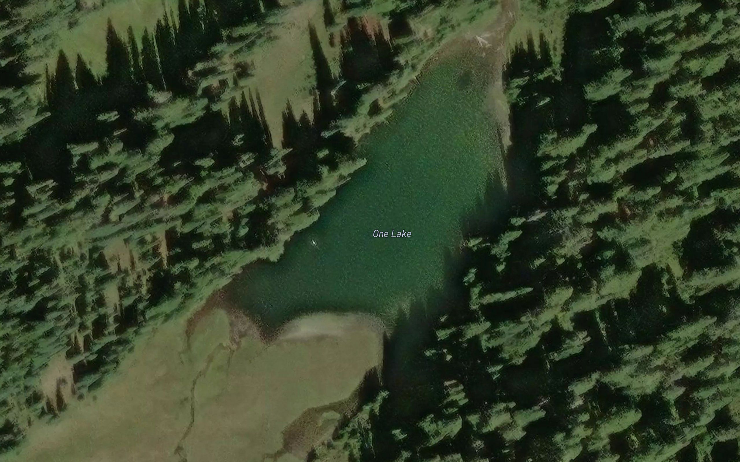 One Lake