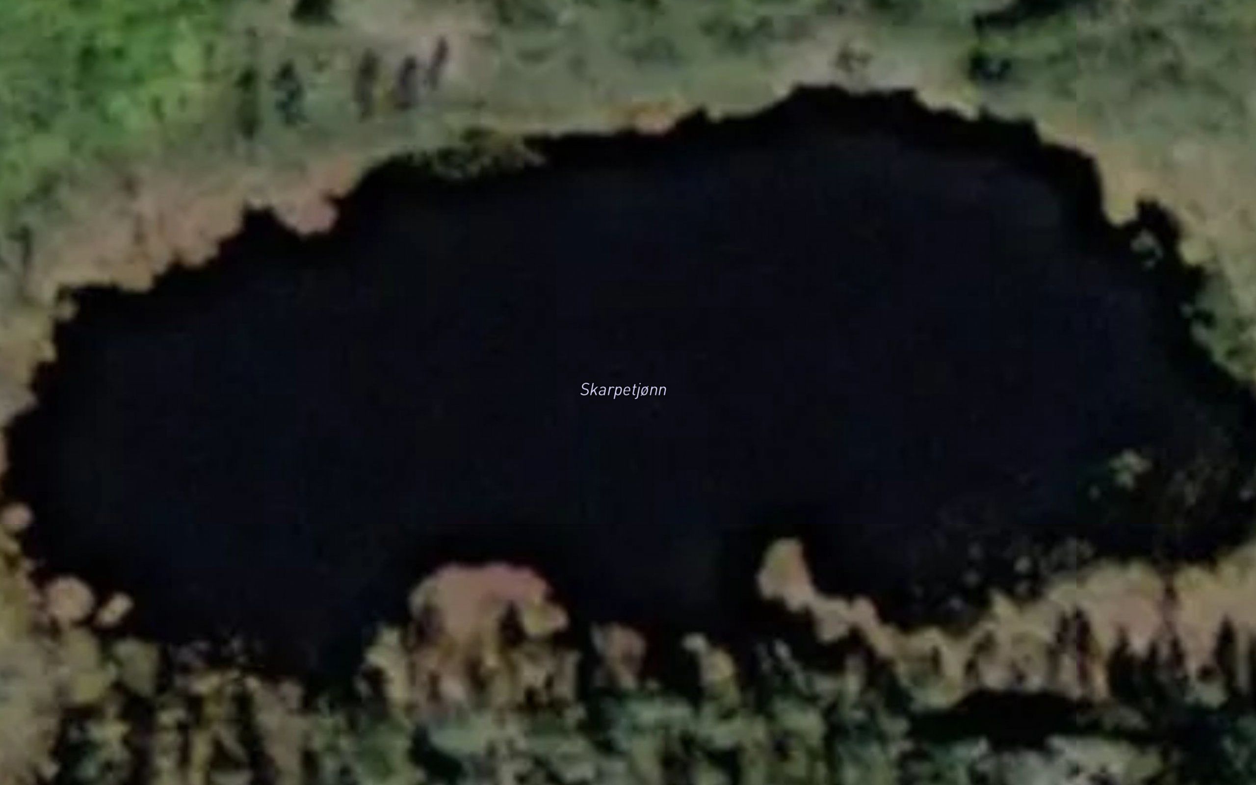 Skarpetjonn