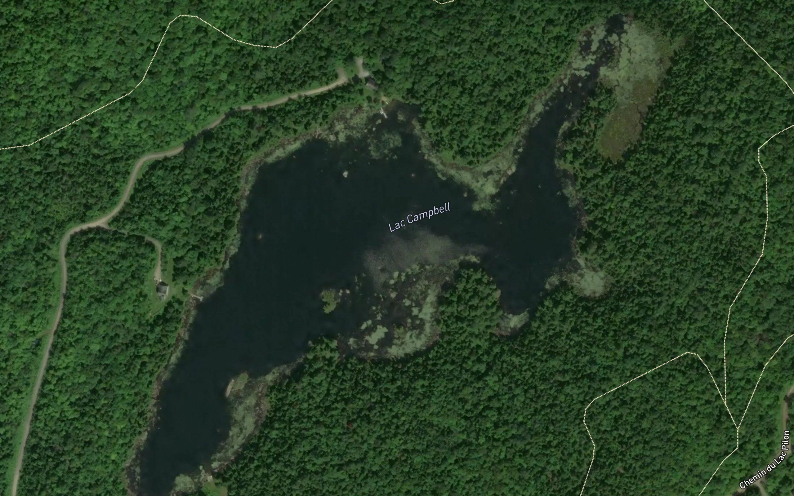 Lac Campbell