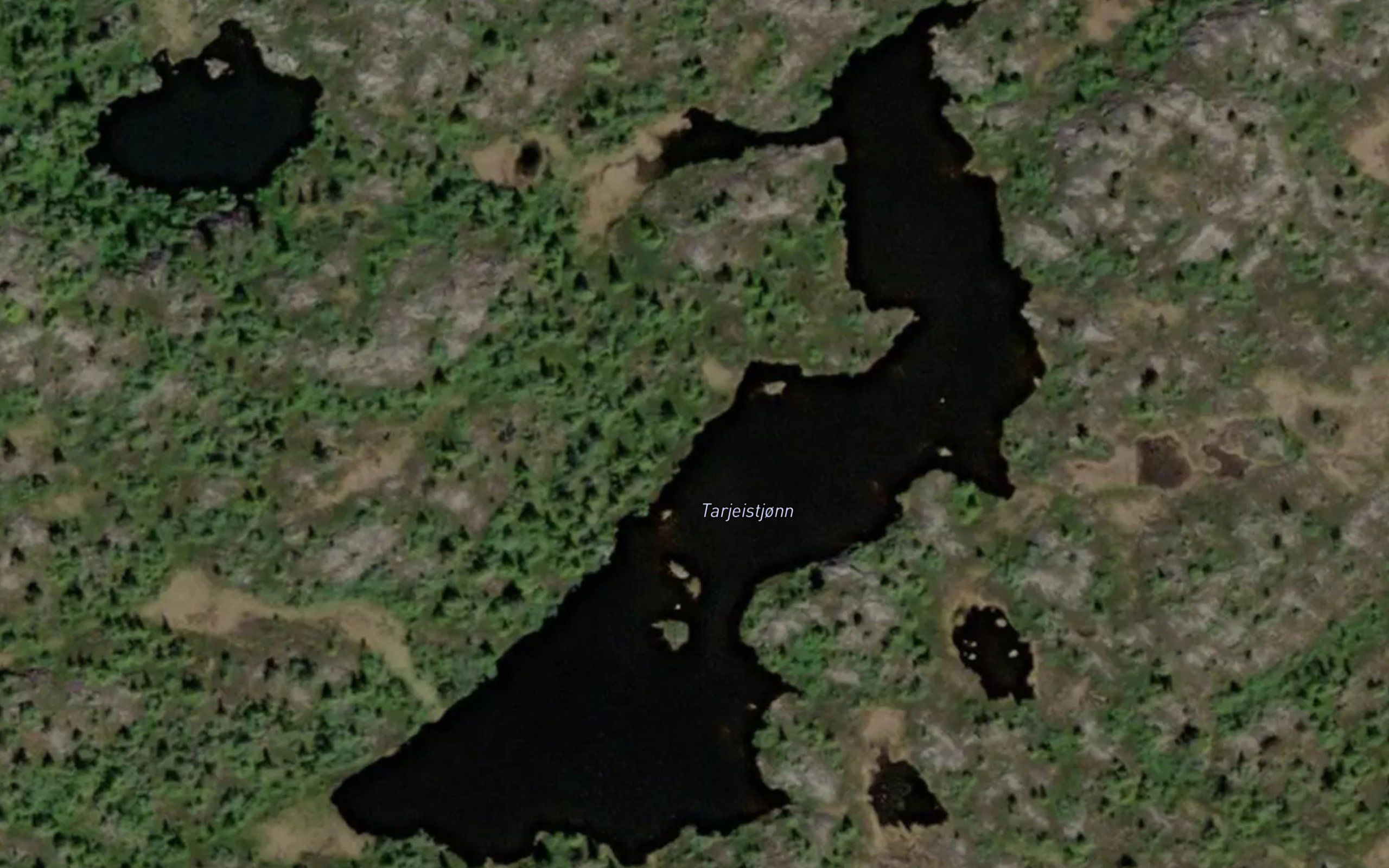 Tarjeistjonn