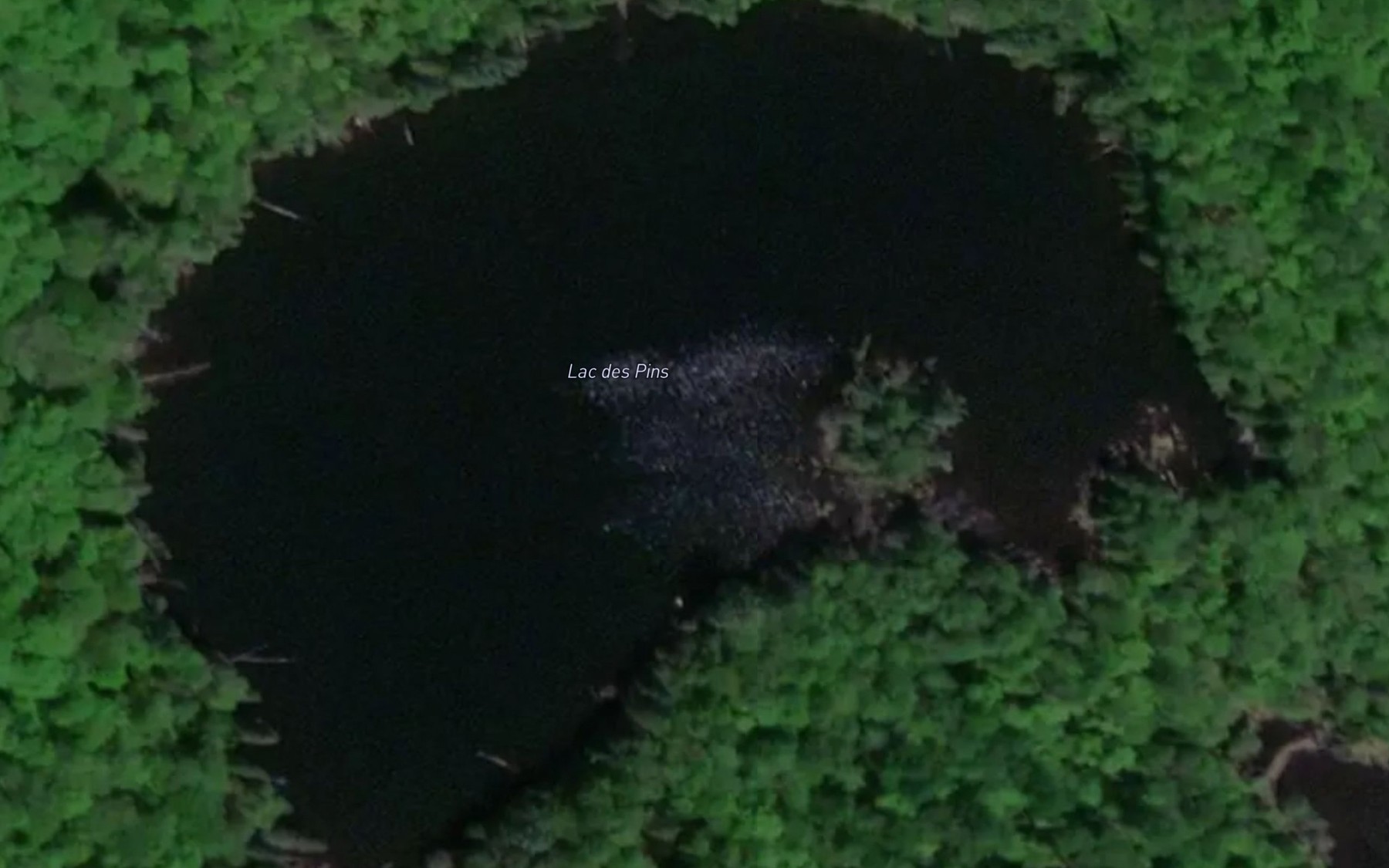 Satellite map of the Lac des Pins