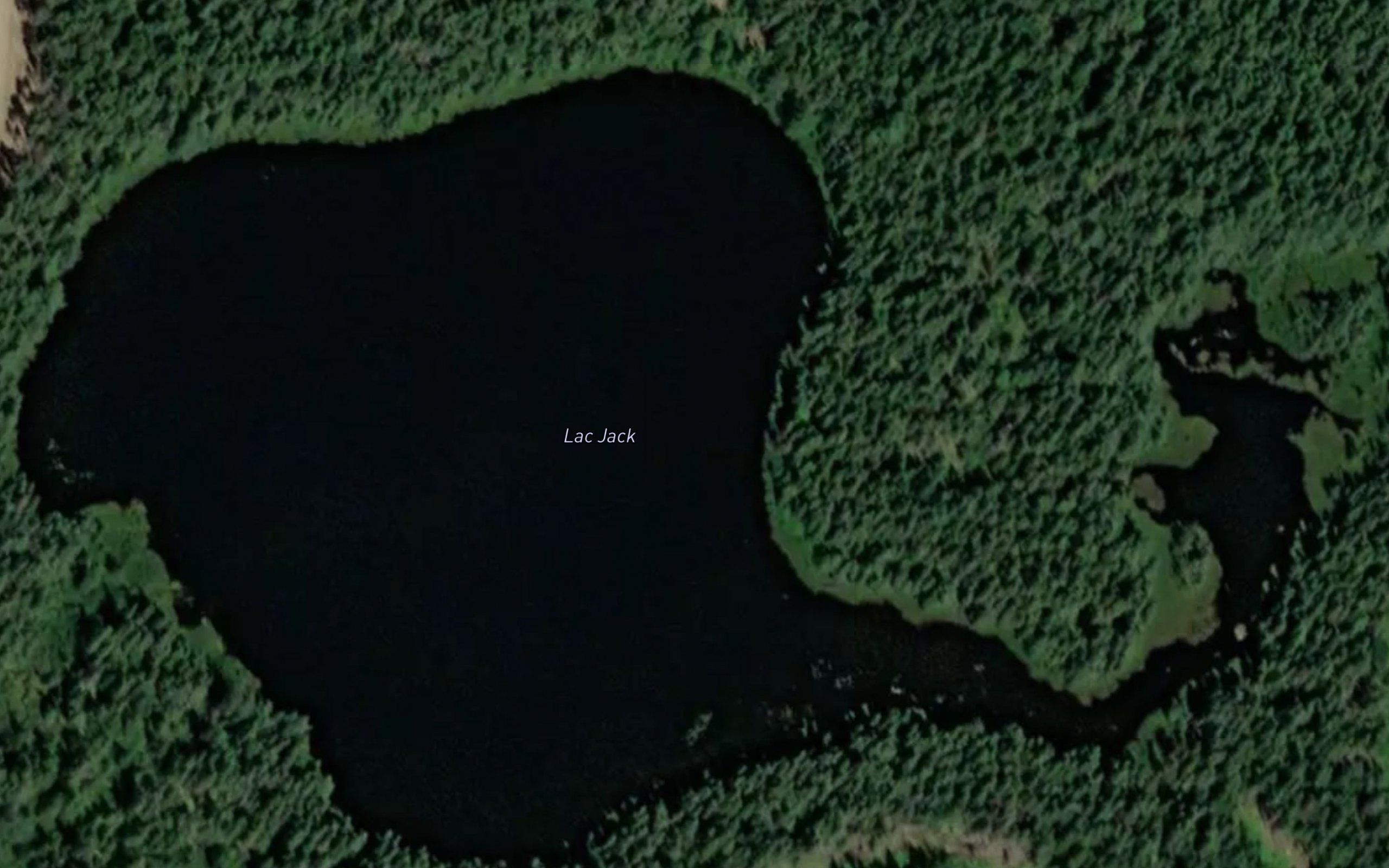 Lac Jack