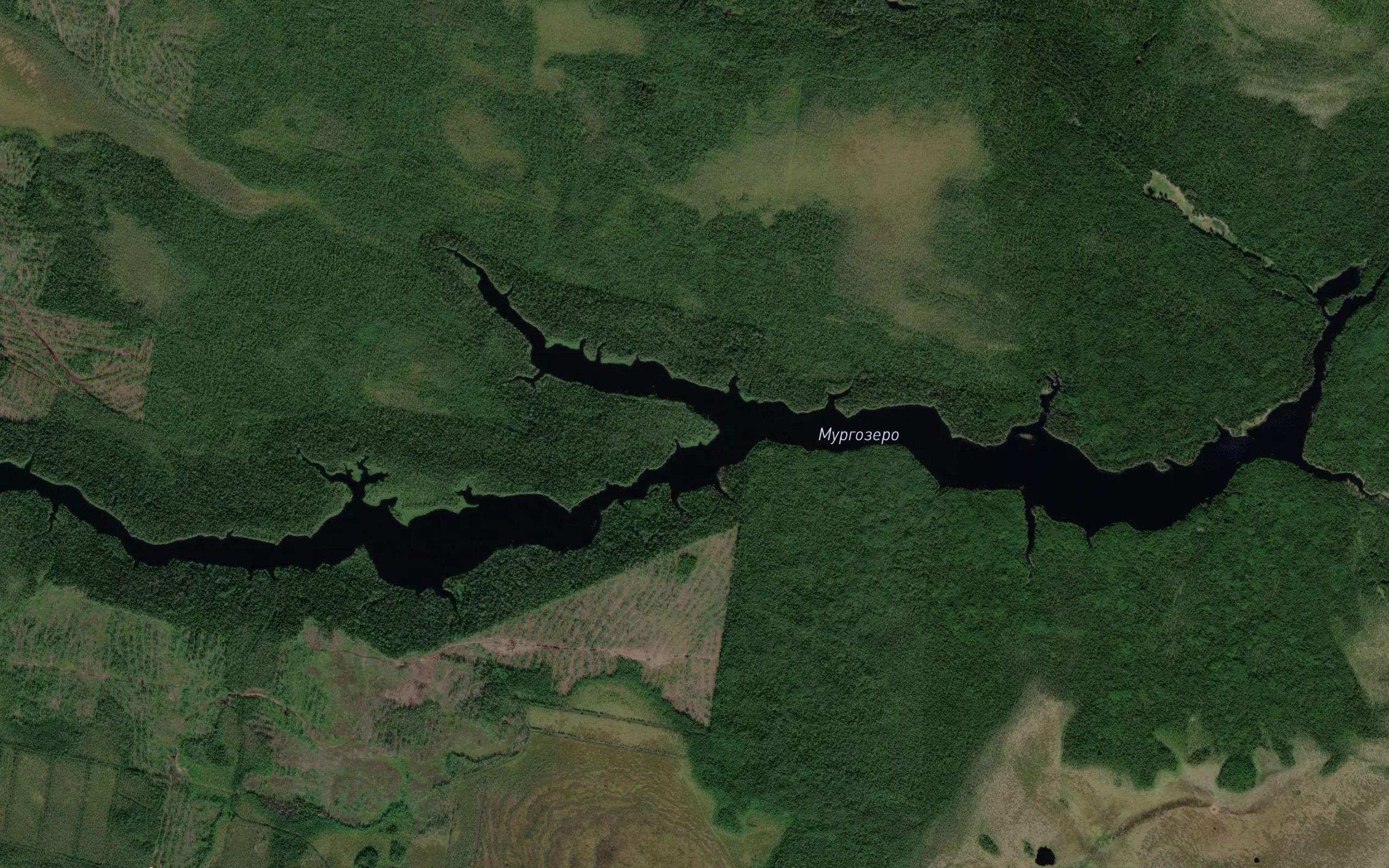 Ozero Murgozero