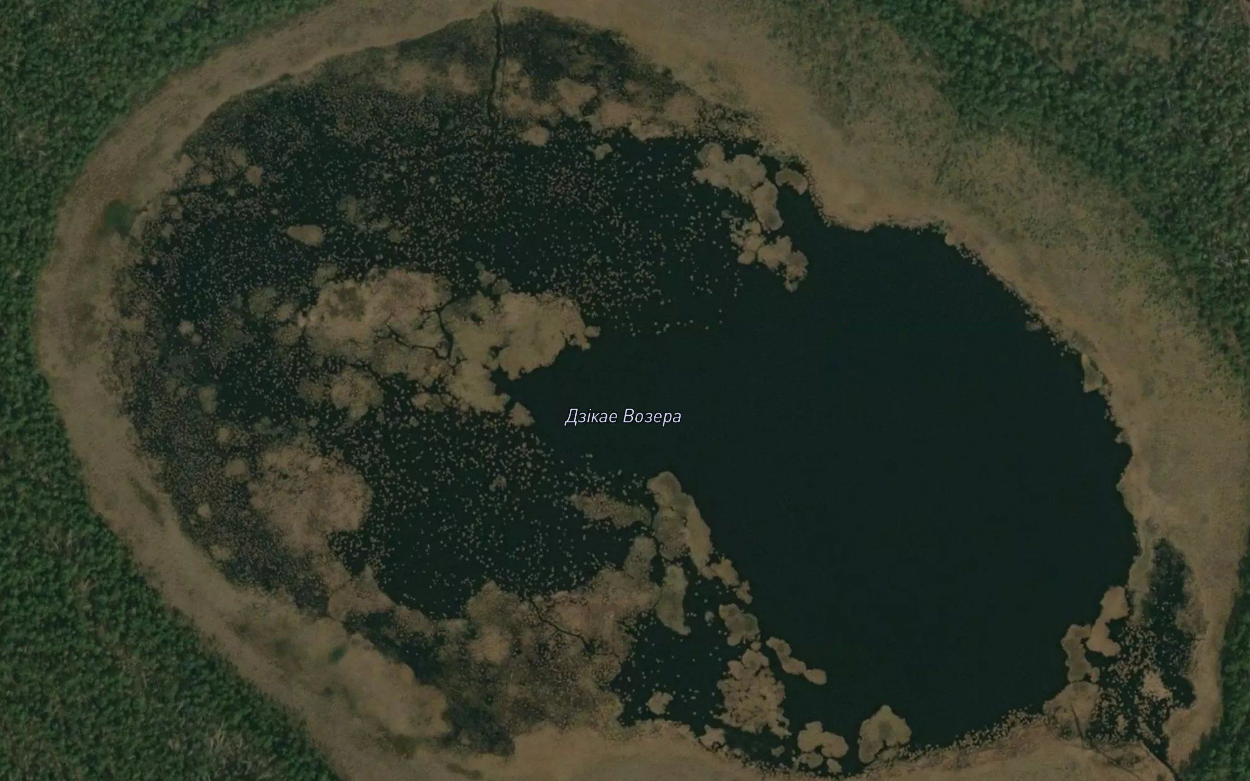 Ozero Dikoye
