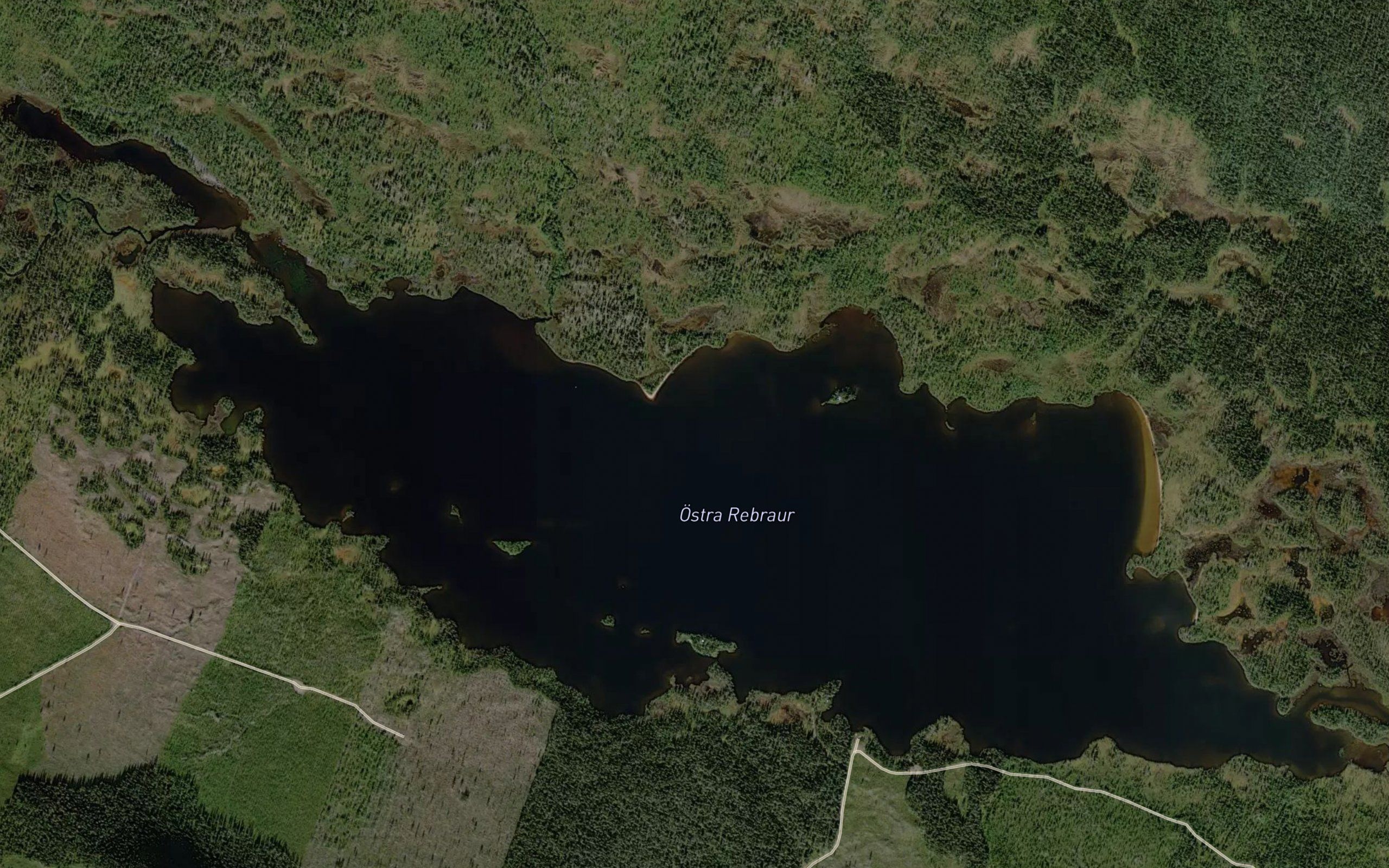 Ostra Rebraur