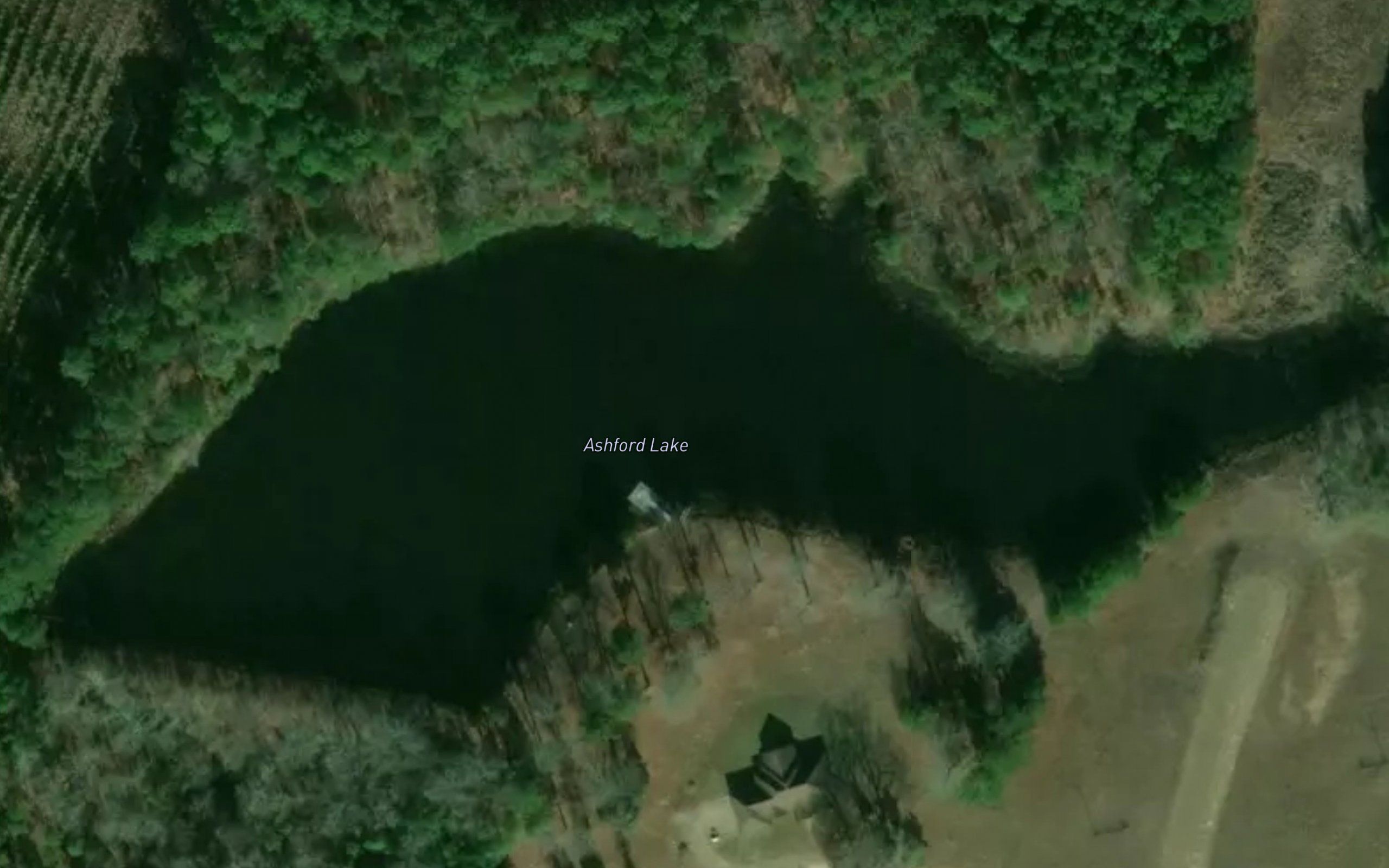 Ashford Lake
