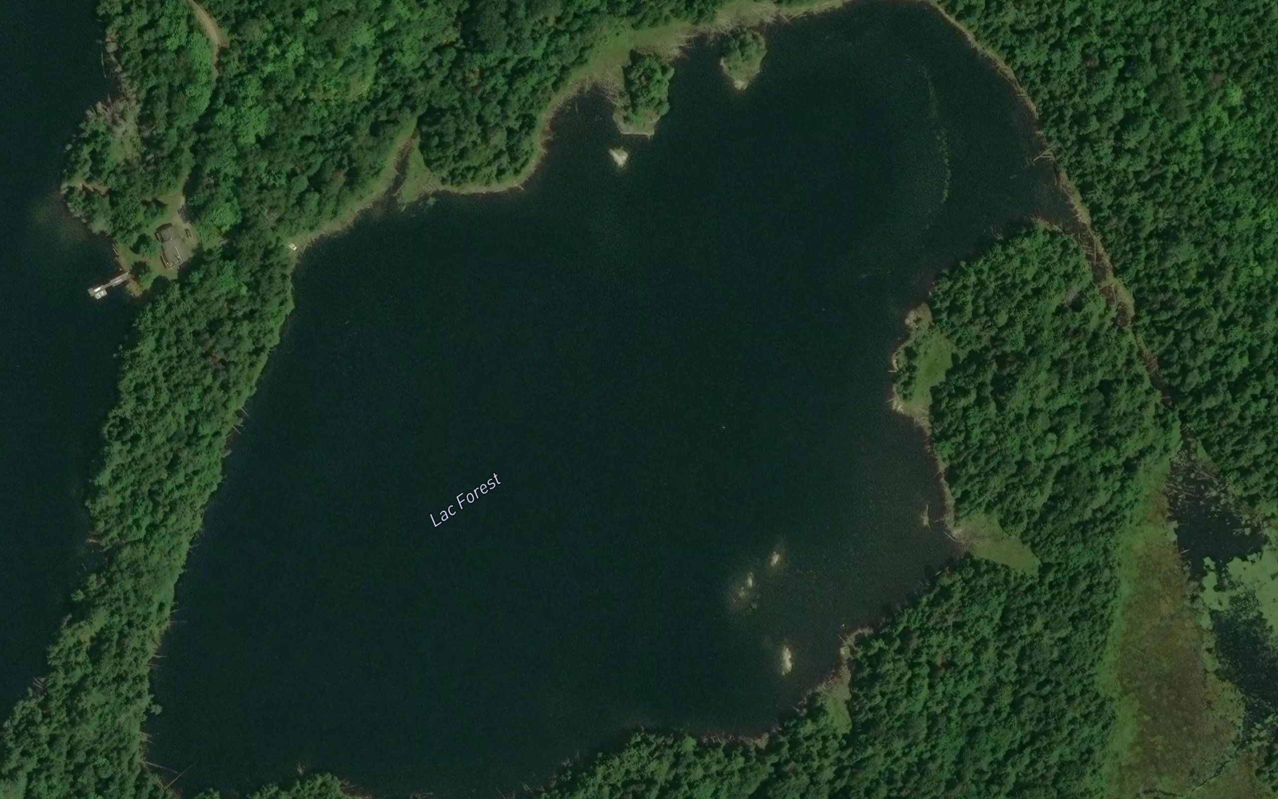 Lac Forest