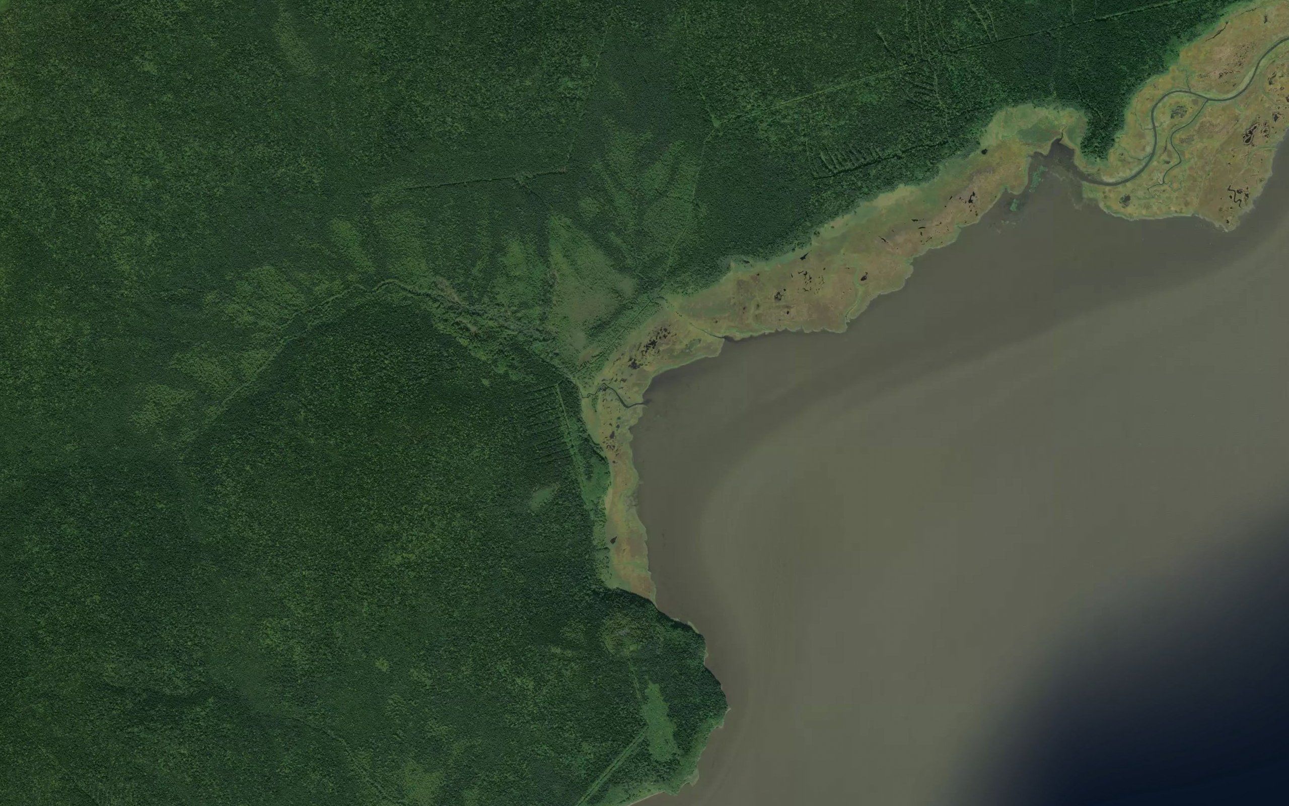 Krivaya