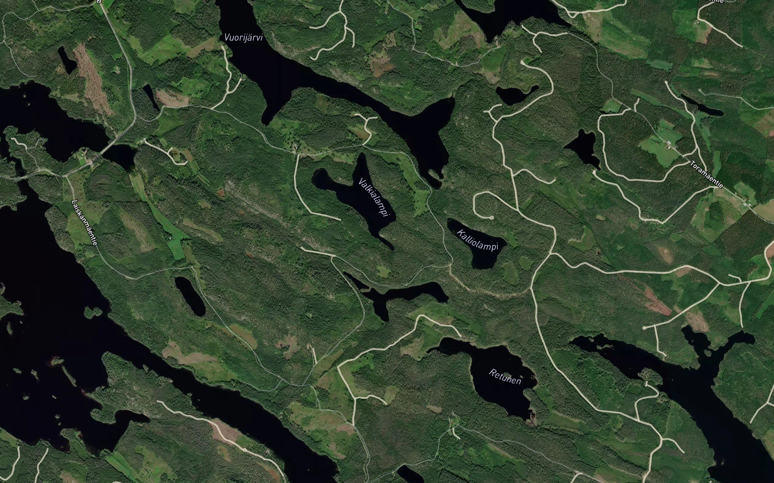 Pitkalahti