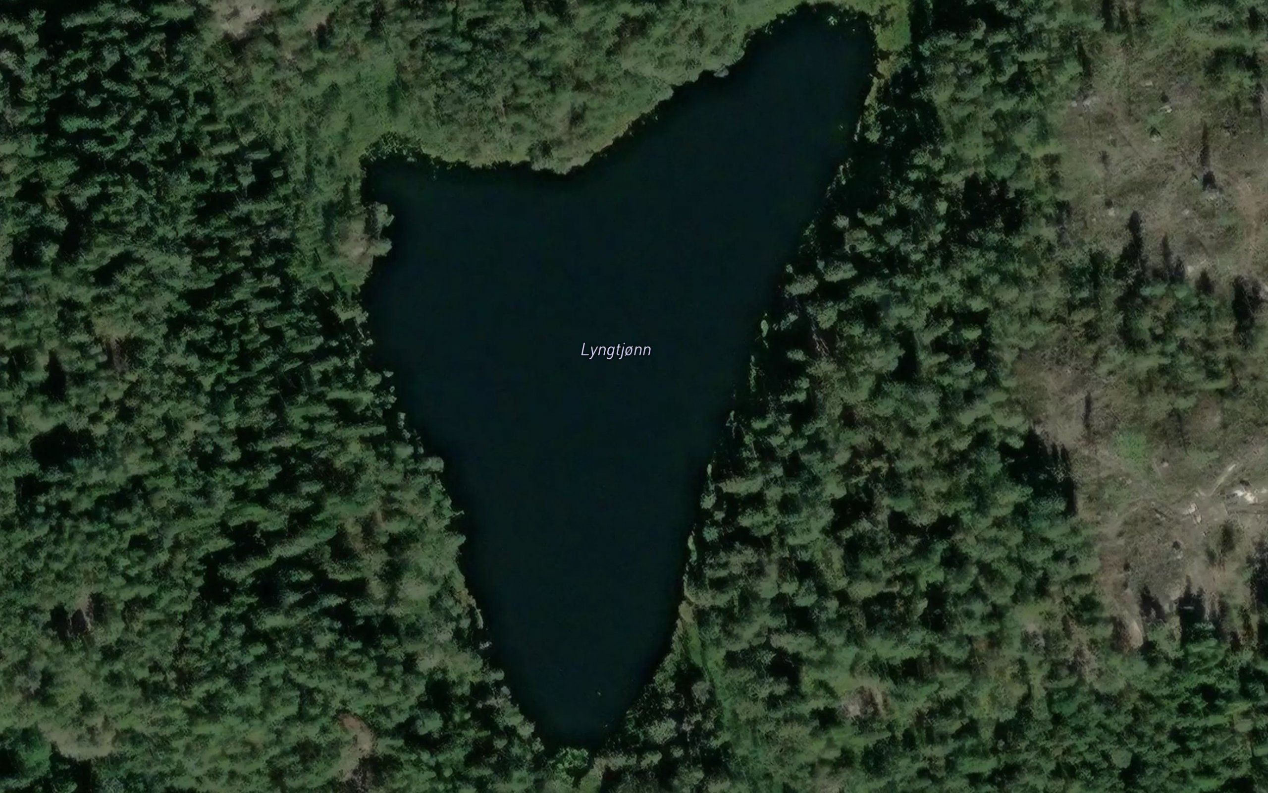 Lyngtjonn