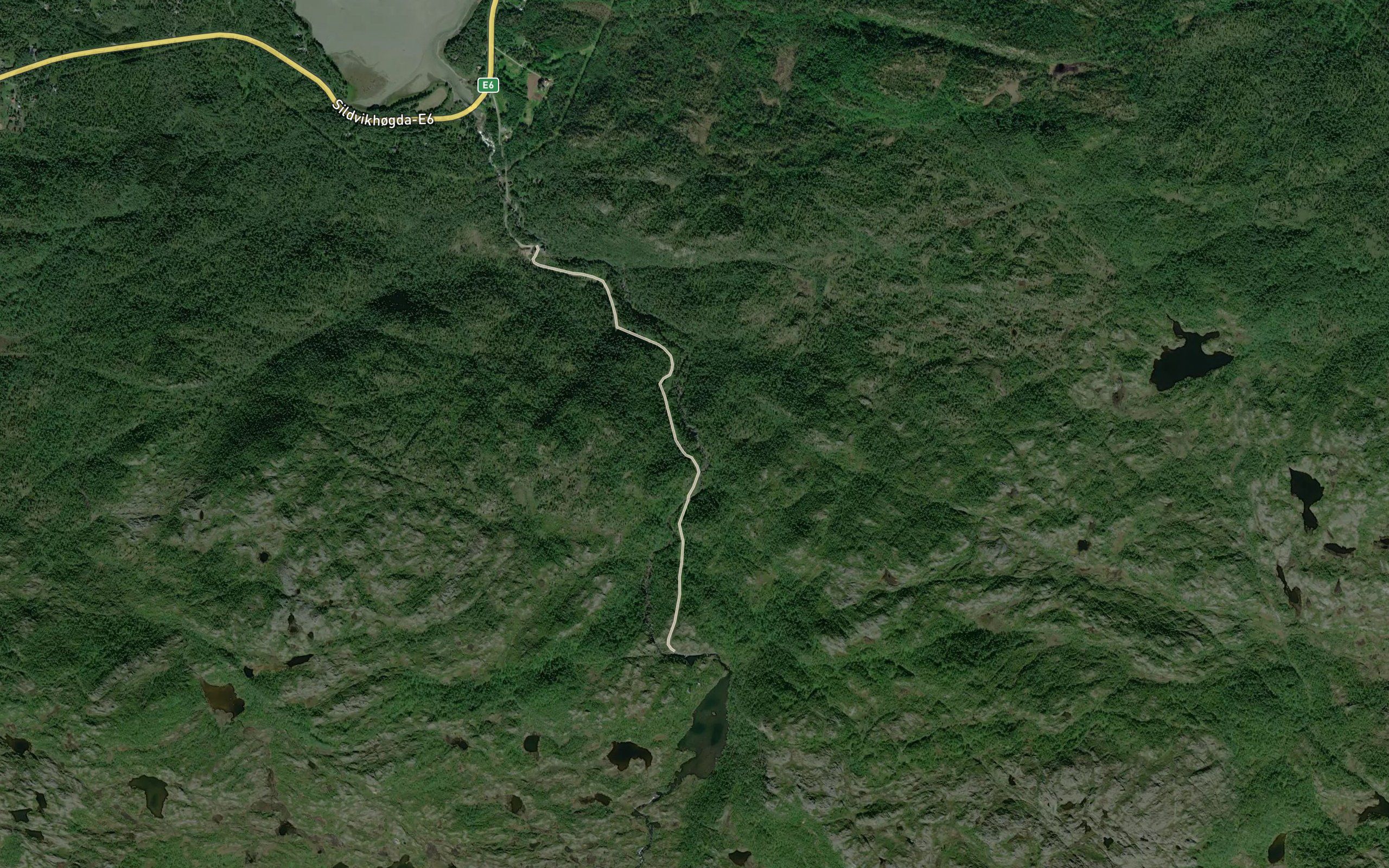 Hogforsen