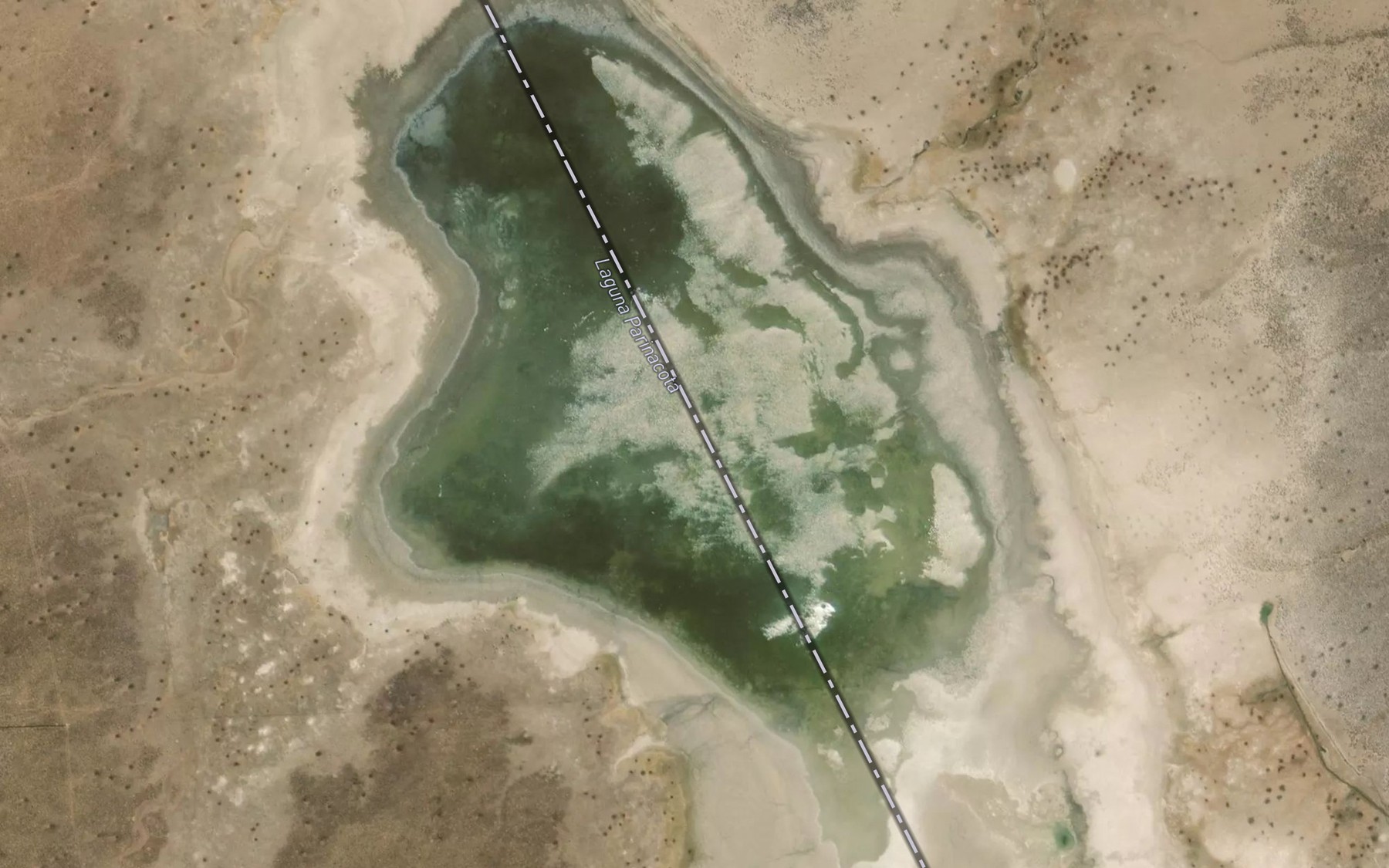 Satellite map of the Laguna Parinacota