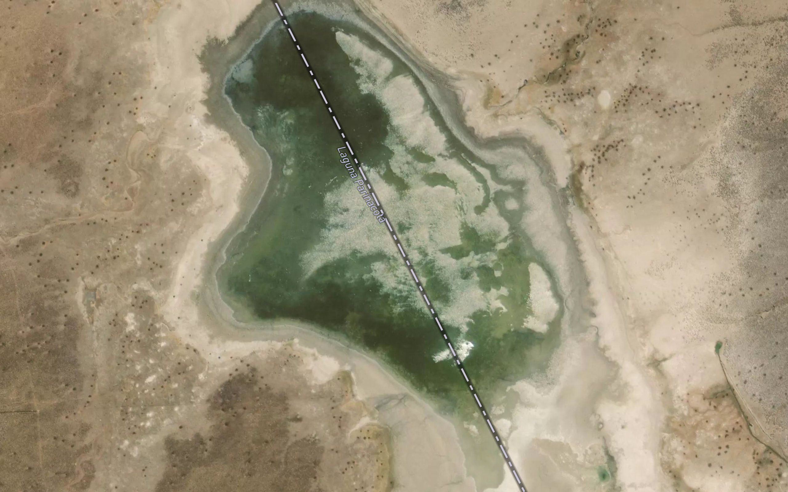 Laguna Parinacota
