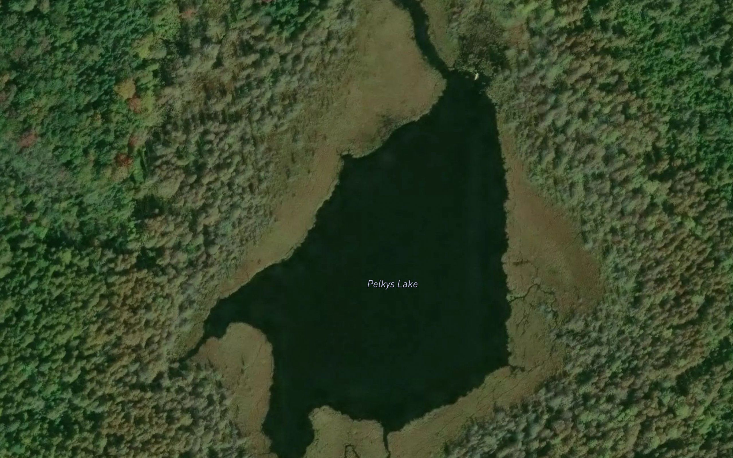 Pelkys Lake