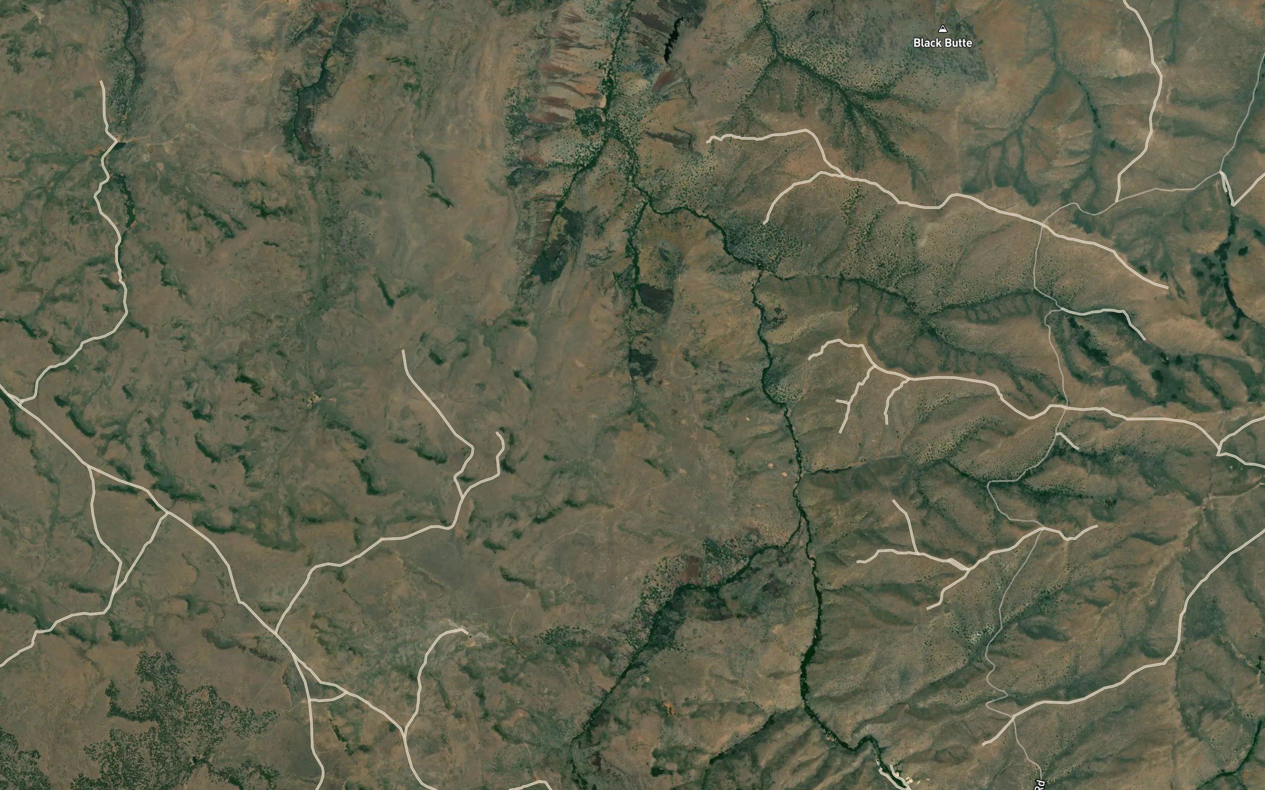 Buck Gulch Spring