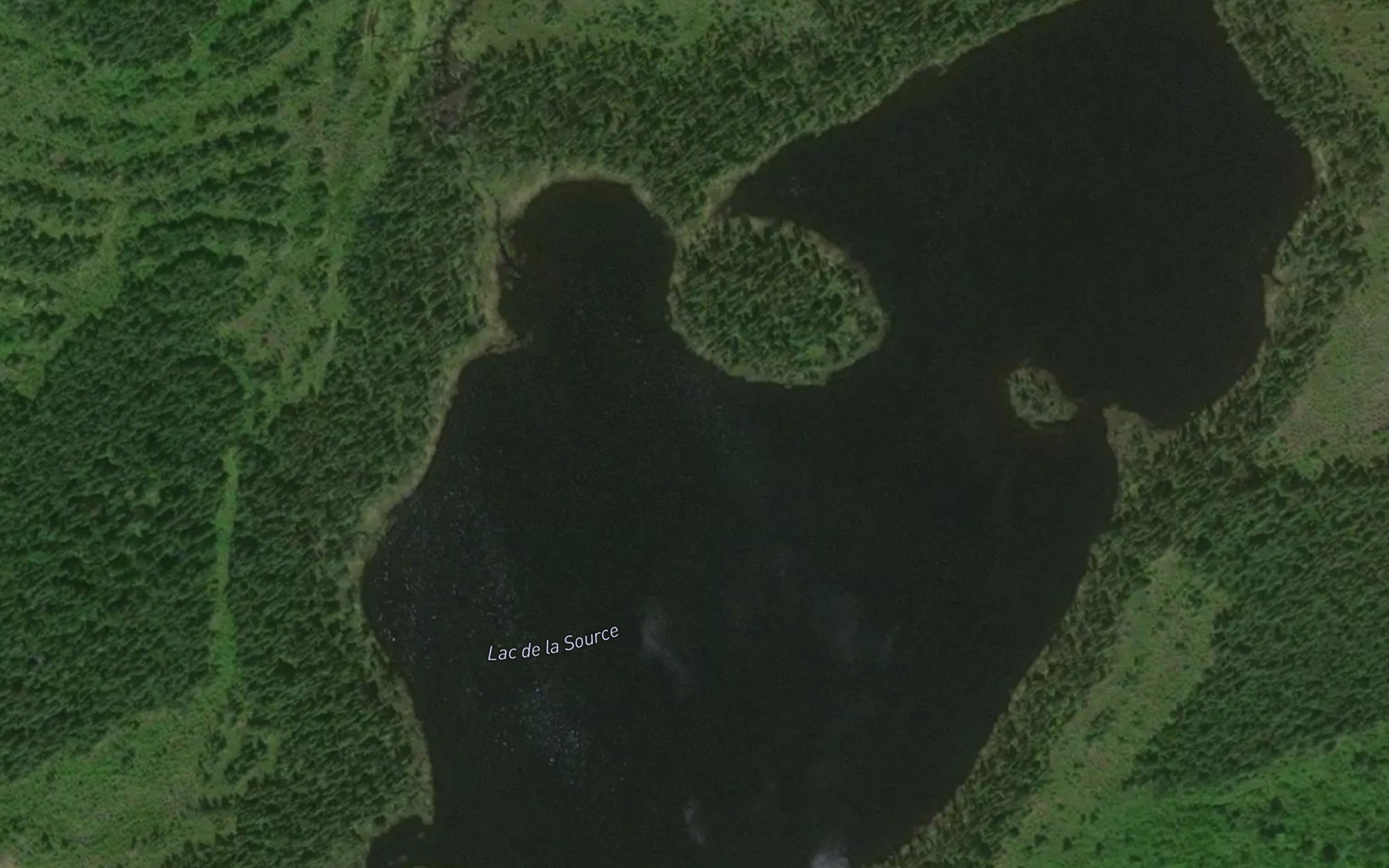 Satellite map of the Lac de la Source