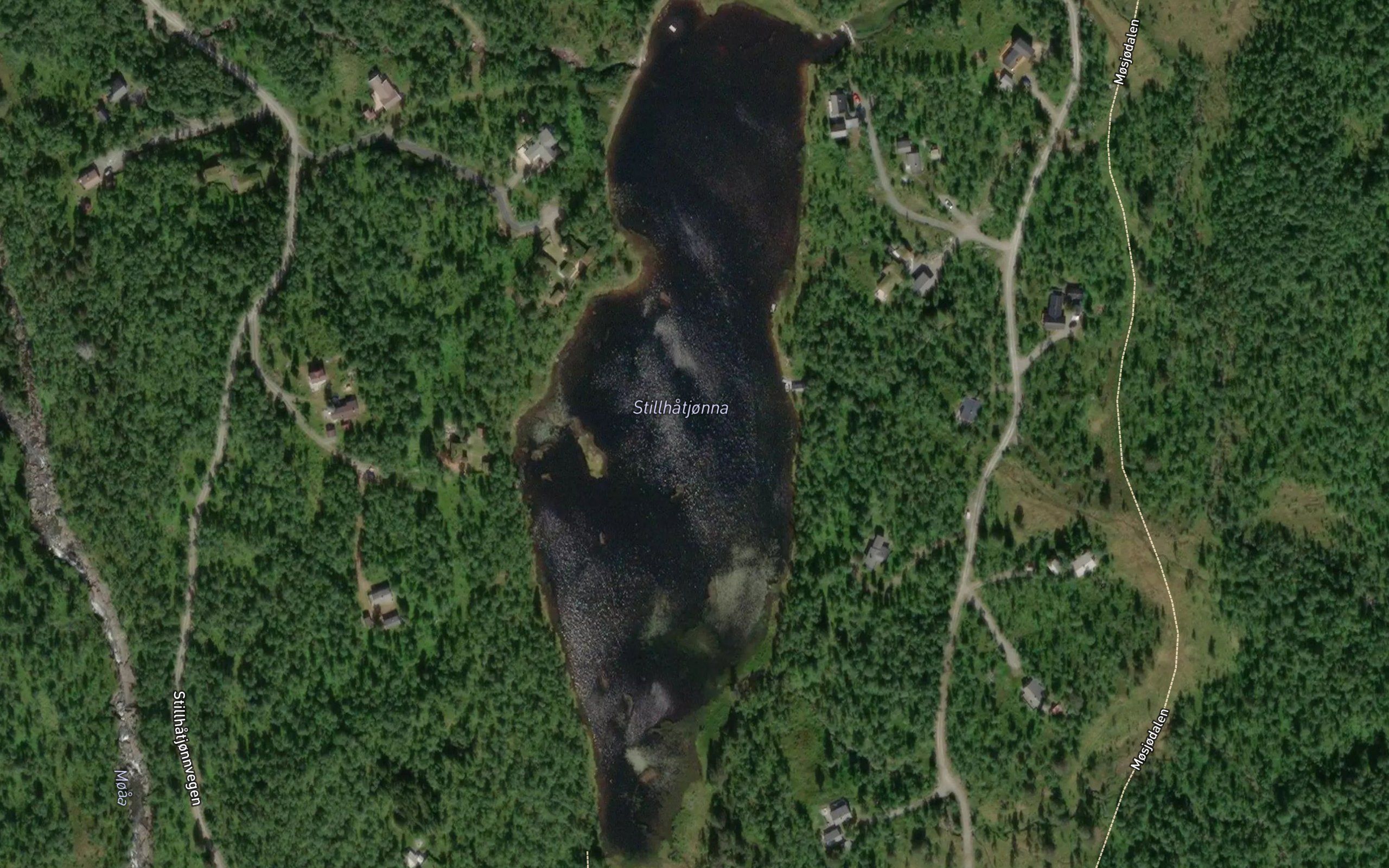Stillhatjorna