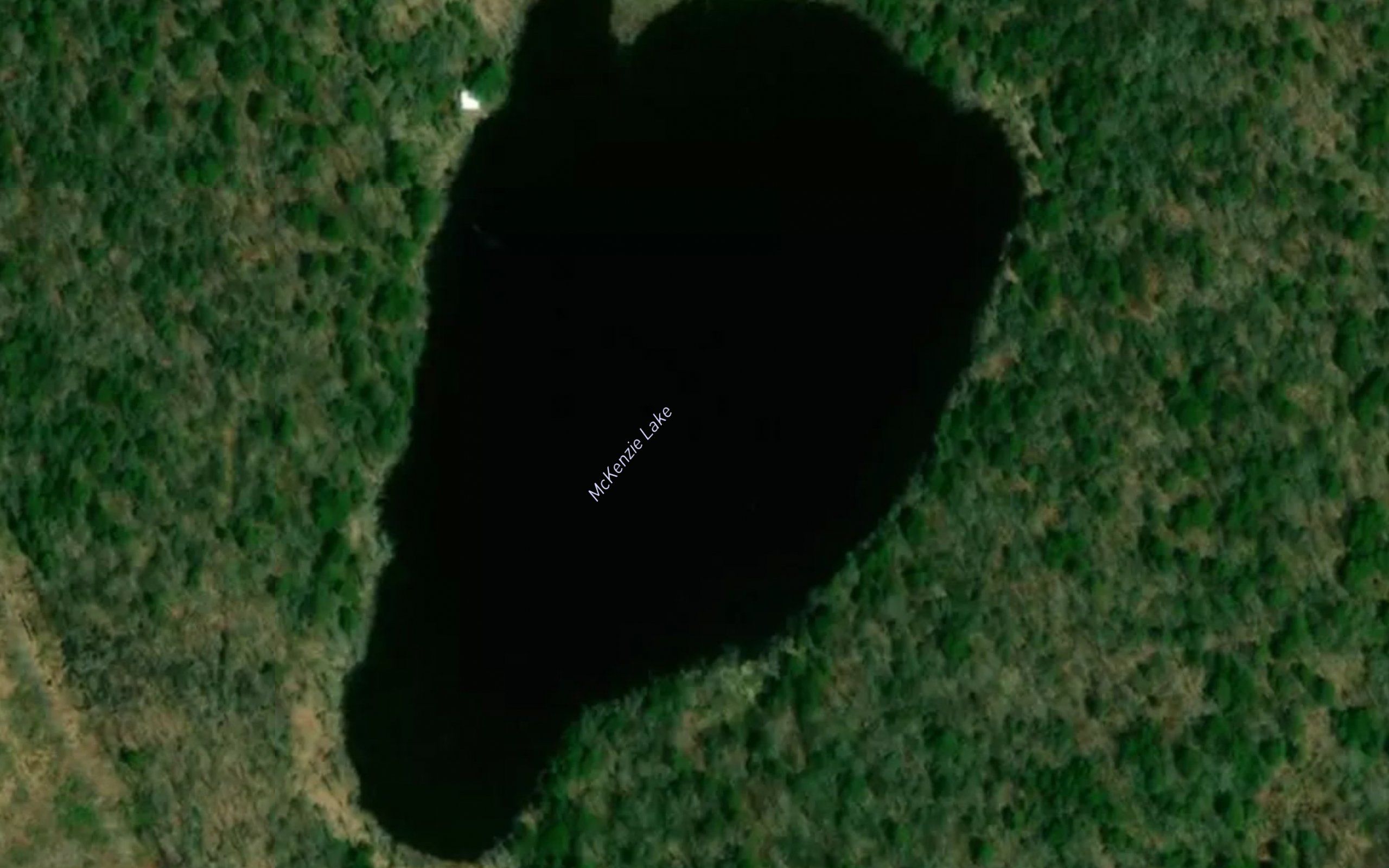 McKenzie Lake