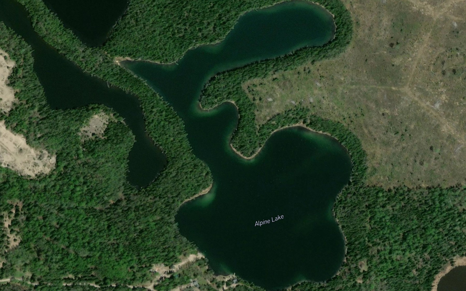 Satellite map of the Alpine Lake