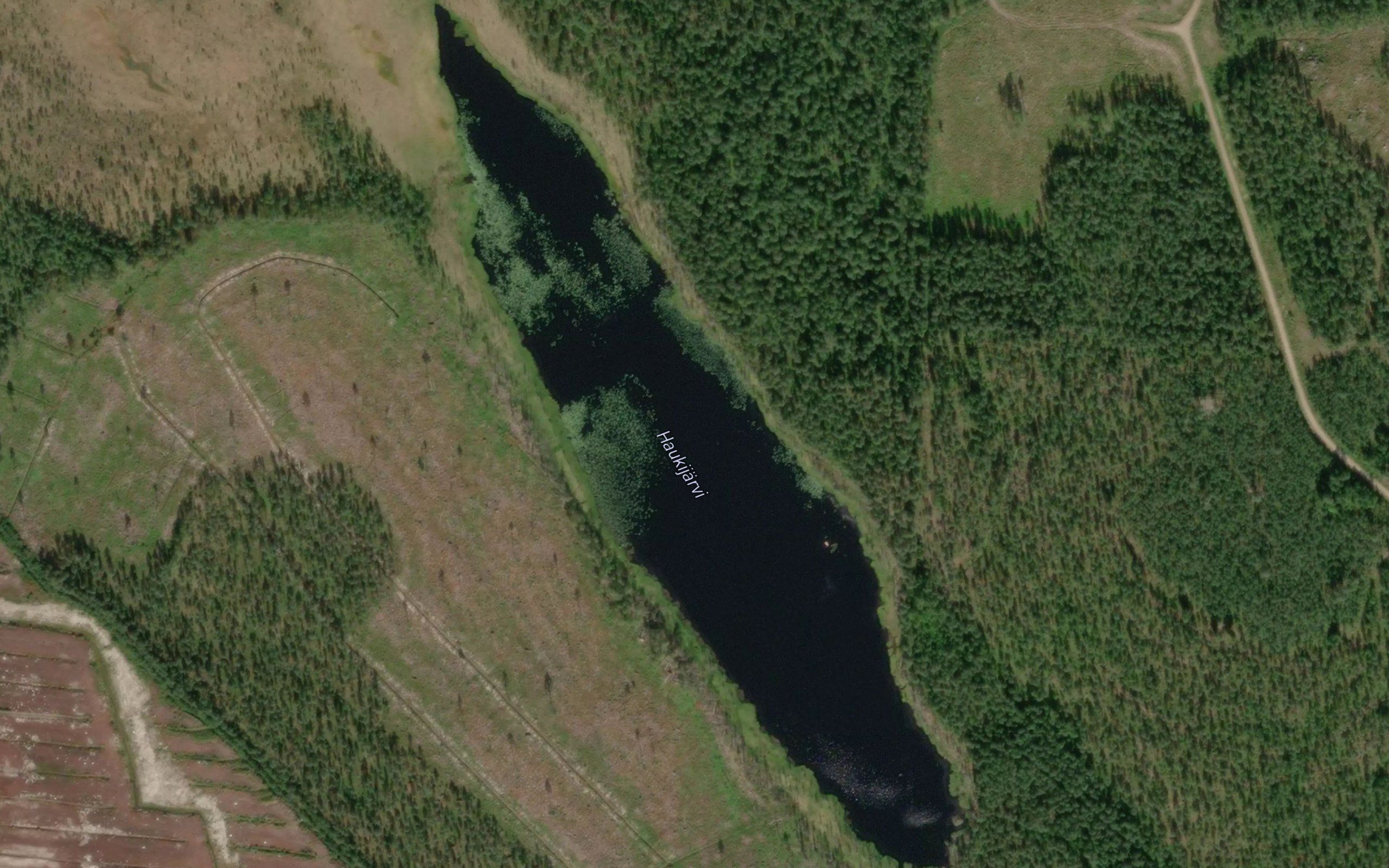 Haukijarvi