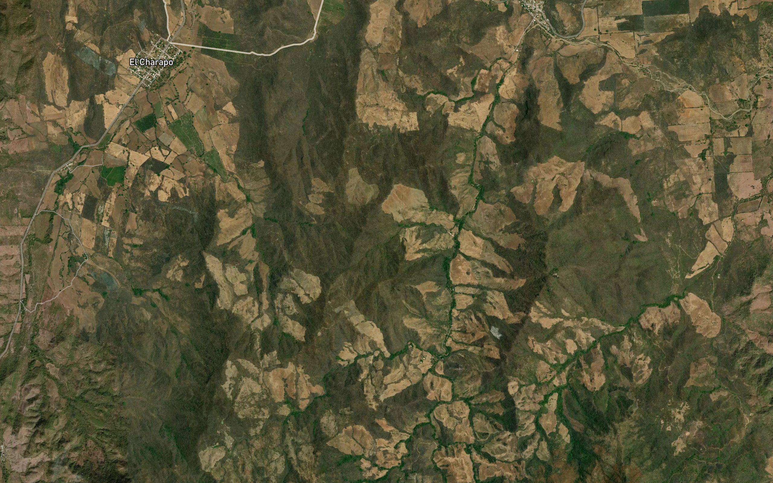Barranca Limoncito