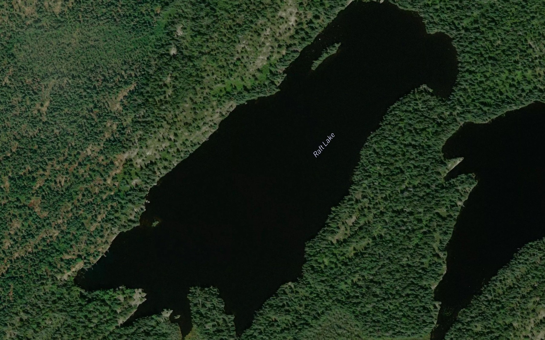 Satellite map of the Raft Lake