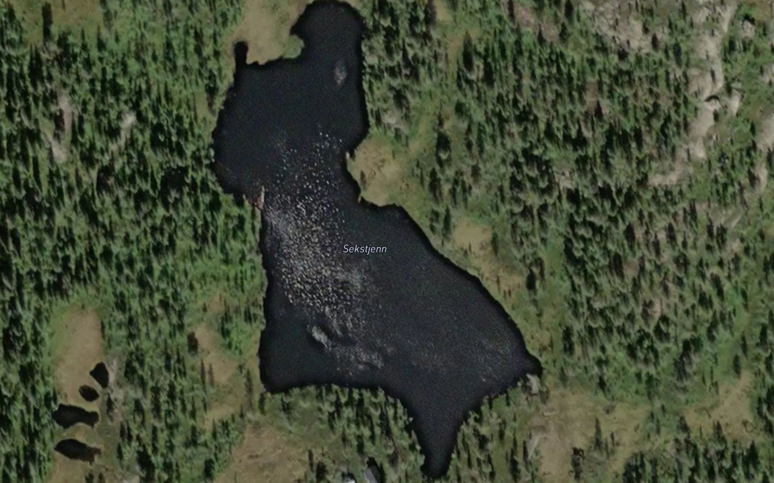 Sekstjerna